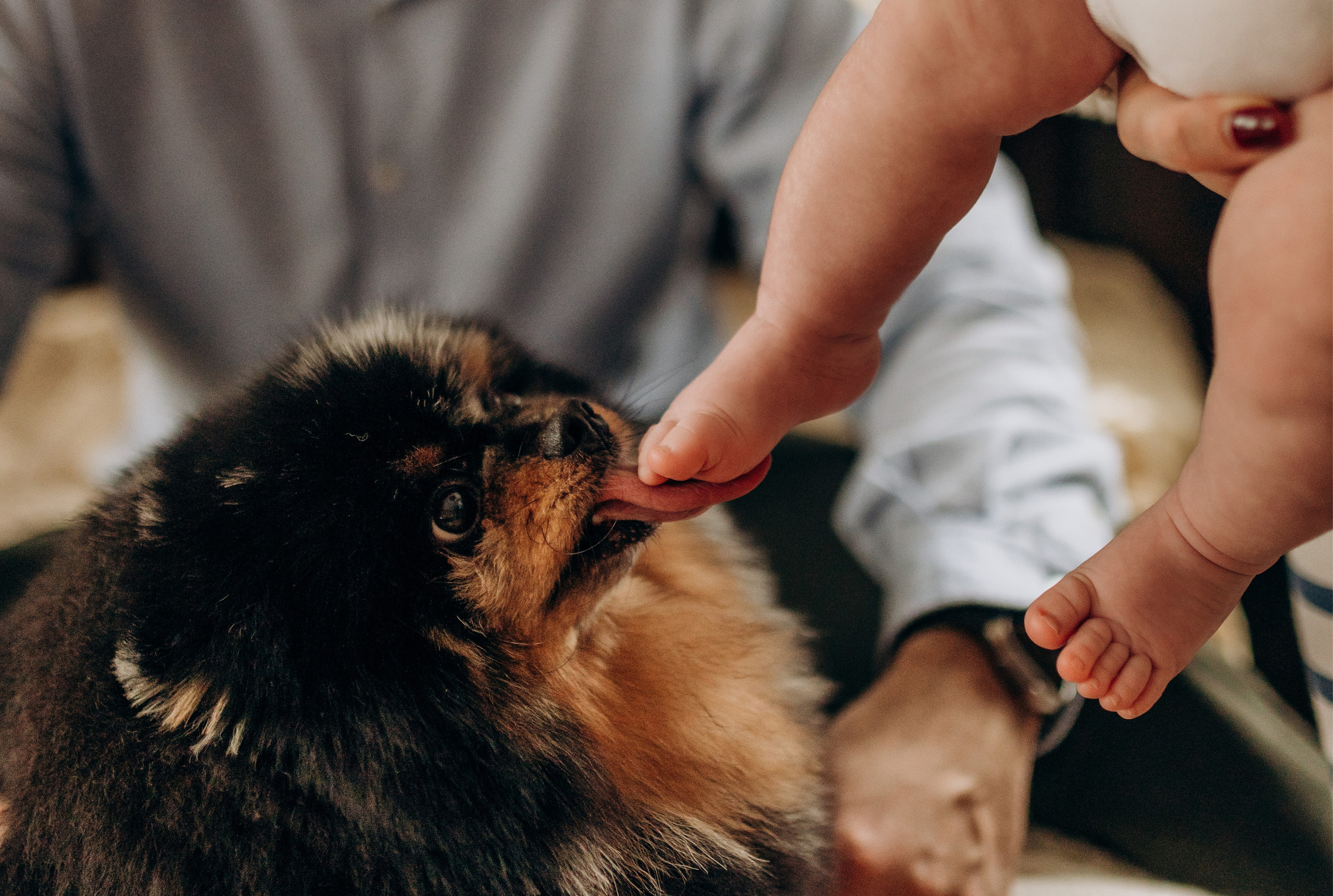 Для Саши, Кати и Семёна. Семейный фотограф в Домодедово и Москве Елена Пичугина