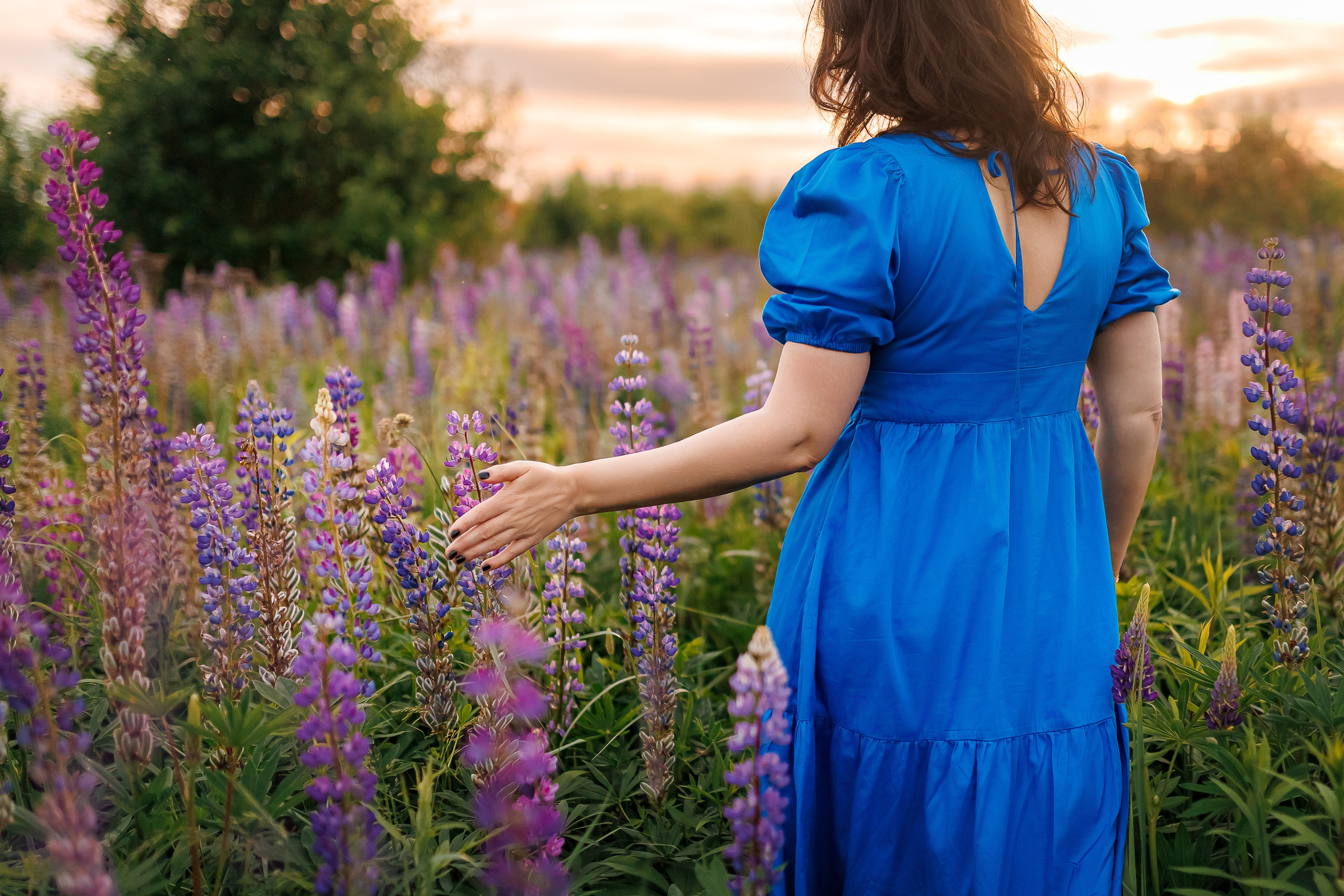 Оксана. Люпины. Семейный и детский фотограф Комина Елена, Власиха, Одинцово