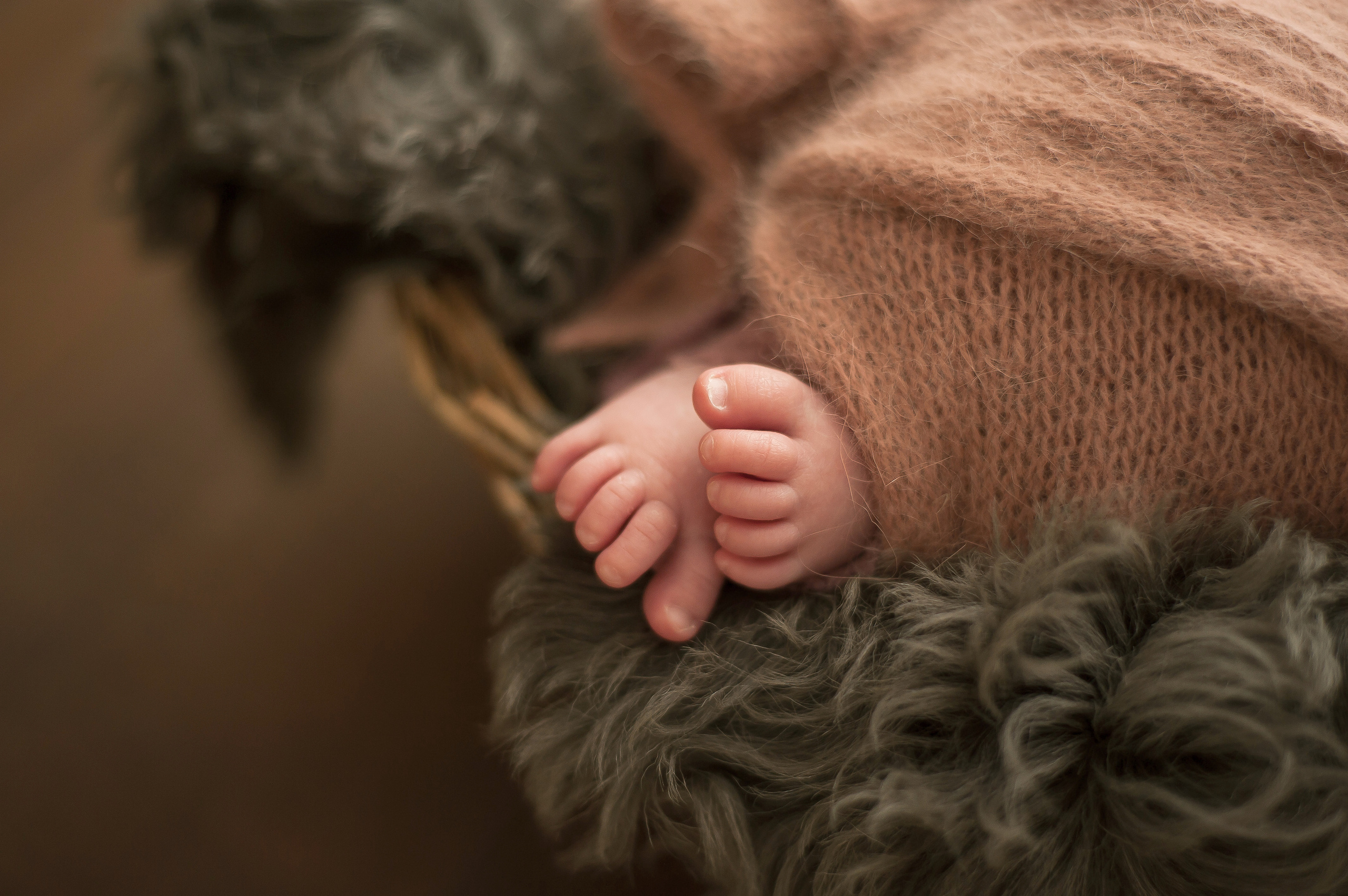 Новорожденные Newborn. Фотограф беременности и детей  Воронеж/Бутурлиновка Ткачева Аня
