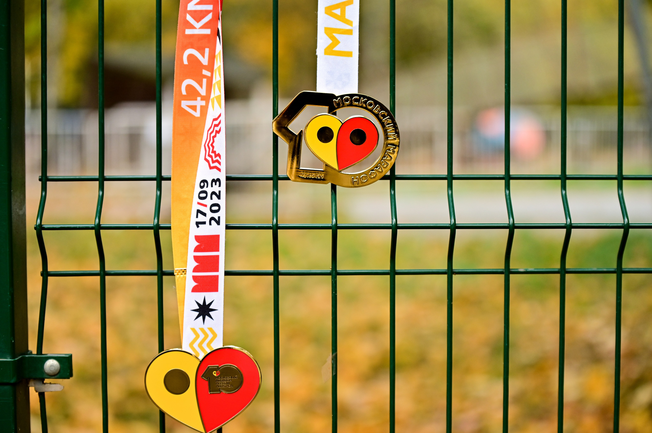 S95 Кузьминки Предмарафонский (12.10.24). Фотограф | Ирина Гамзинова | Москва