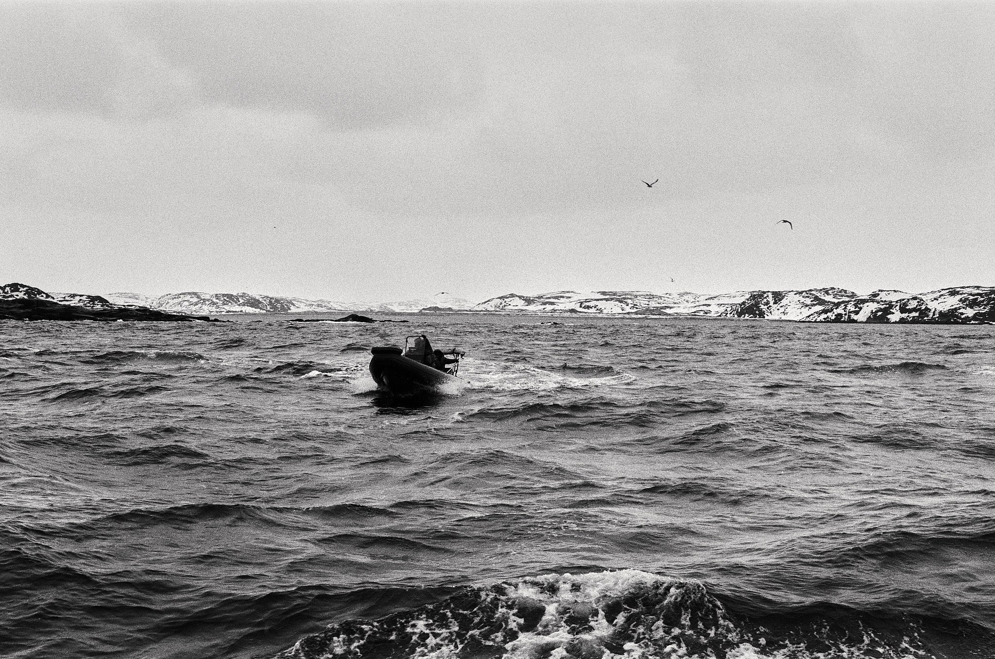 Teriberka (Murmansk). The Other Pavel Potseluev — film photography and mastery of meat business