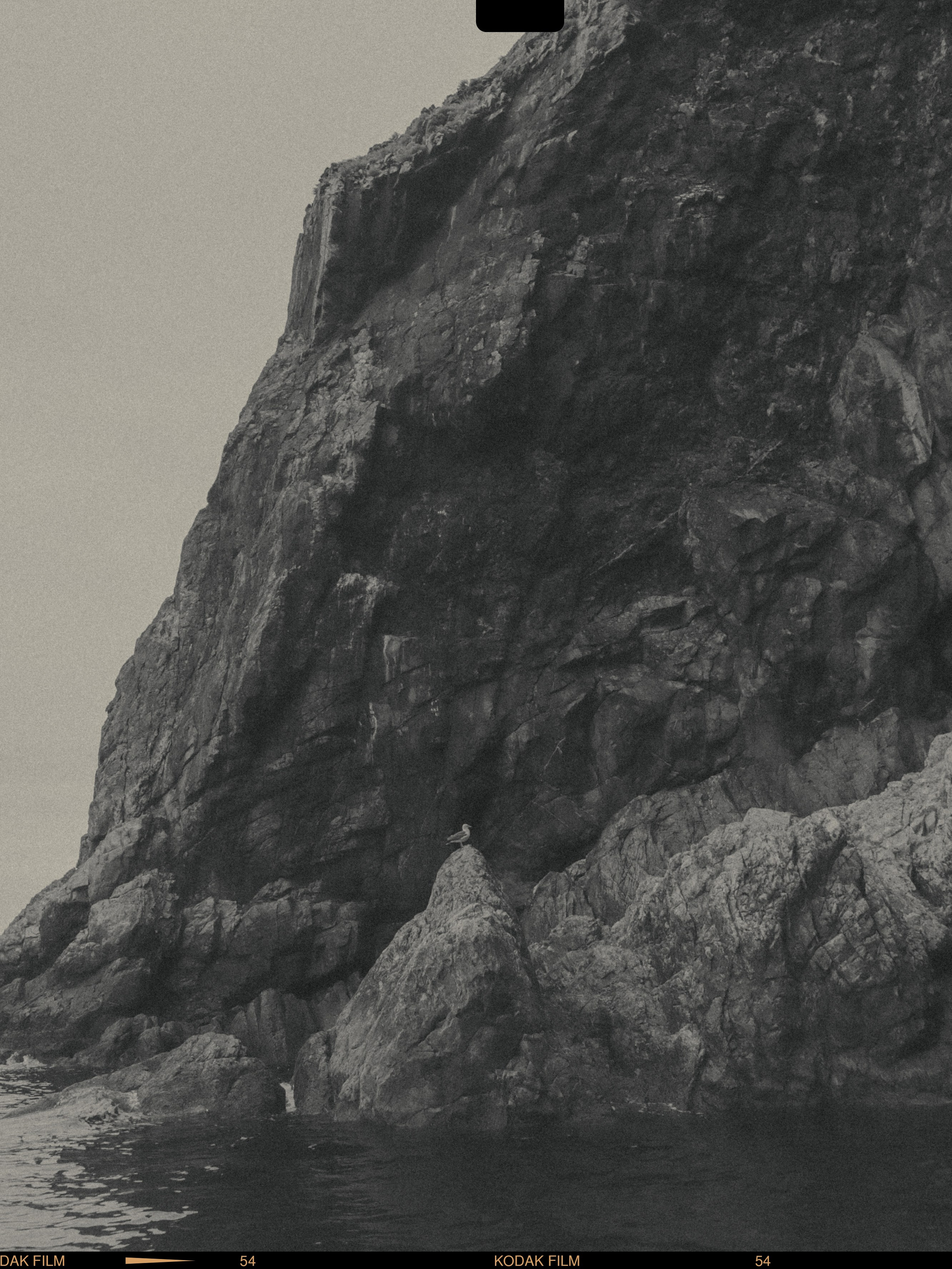 фотография черно белая природа остров аскольда фото