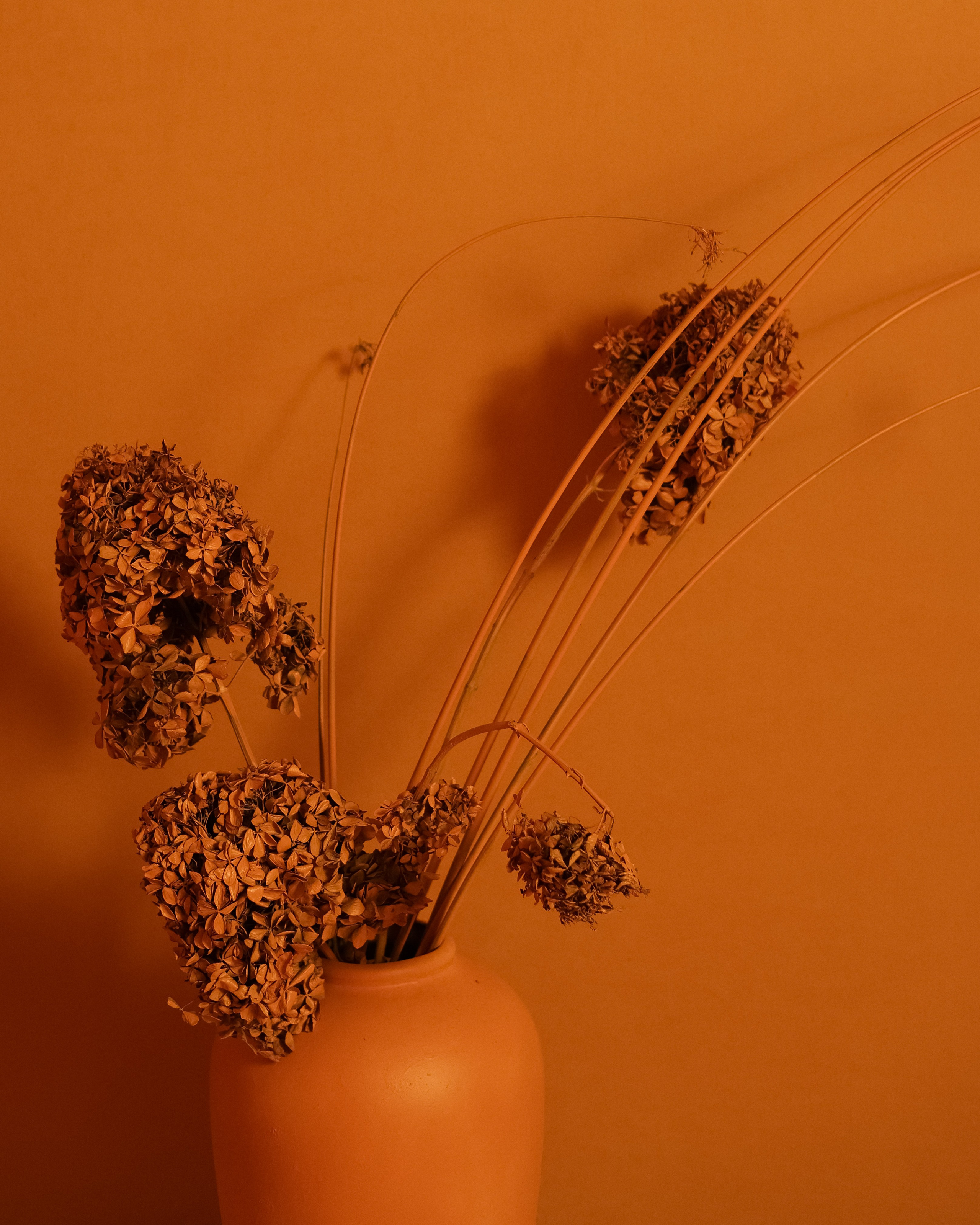 Локации. Фотостудия «Дофамин» в Нижнем Новгороде