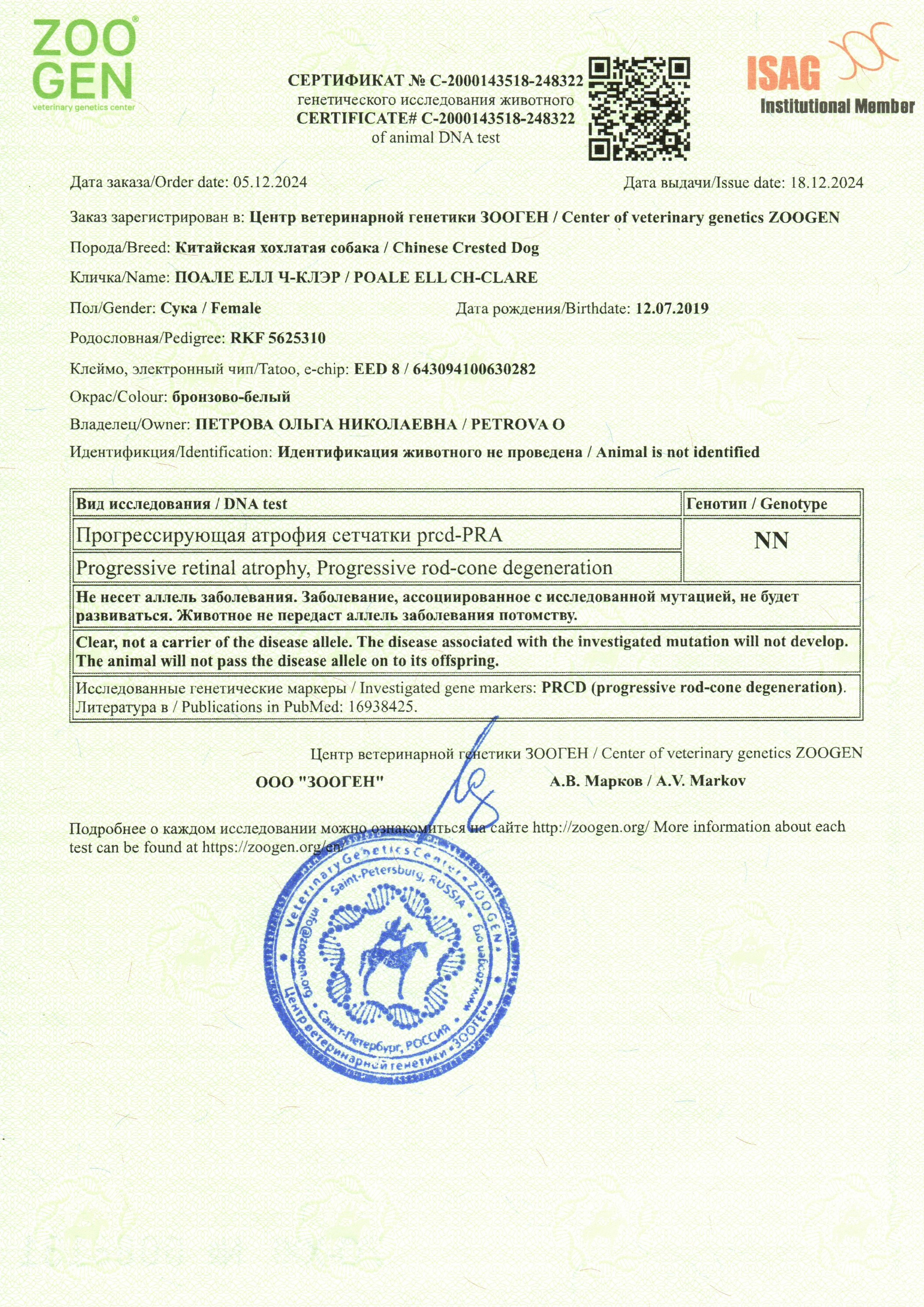 Poale Ell Clare. Chinese Crested Dog Kennel Poale Ell