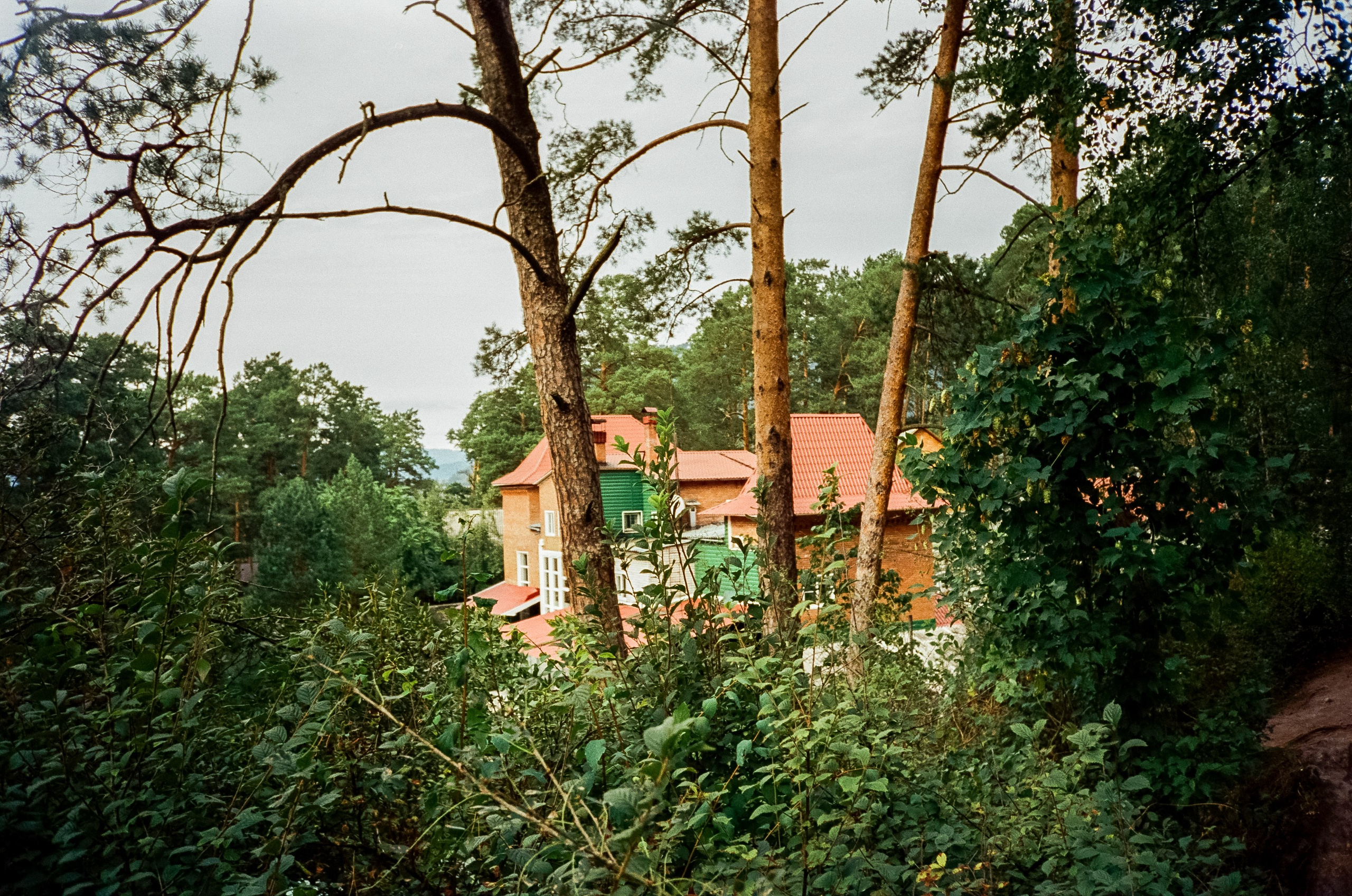 Поездка в Горно-Алтайск. Остров Патмос и Сила Алтая. Фотограф-документалист Мария Осокина