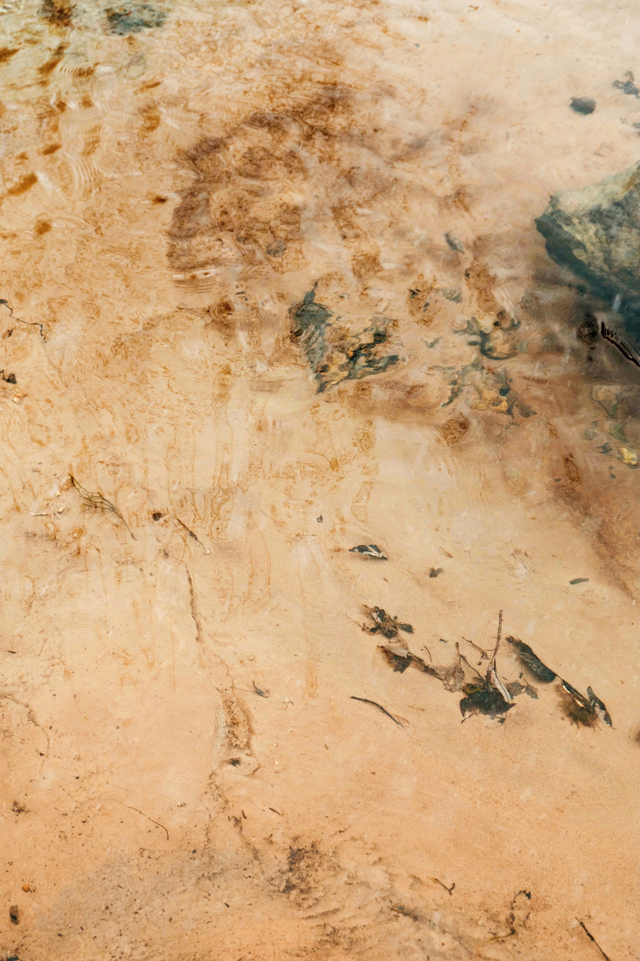 EKATERINA BOGDANOVA ─ PHOTOGRAPHER