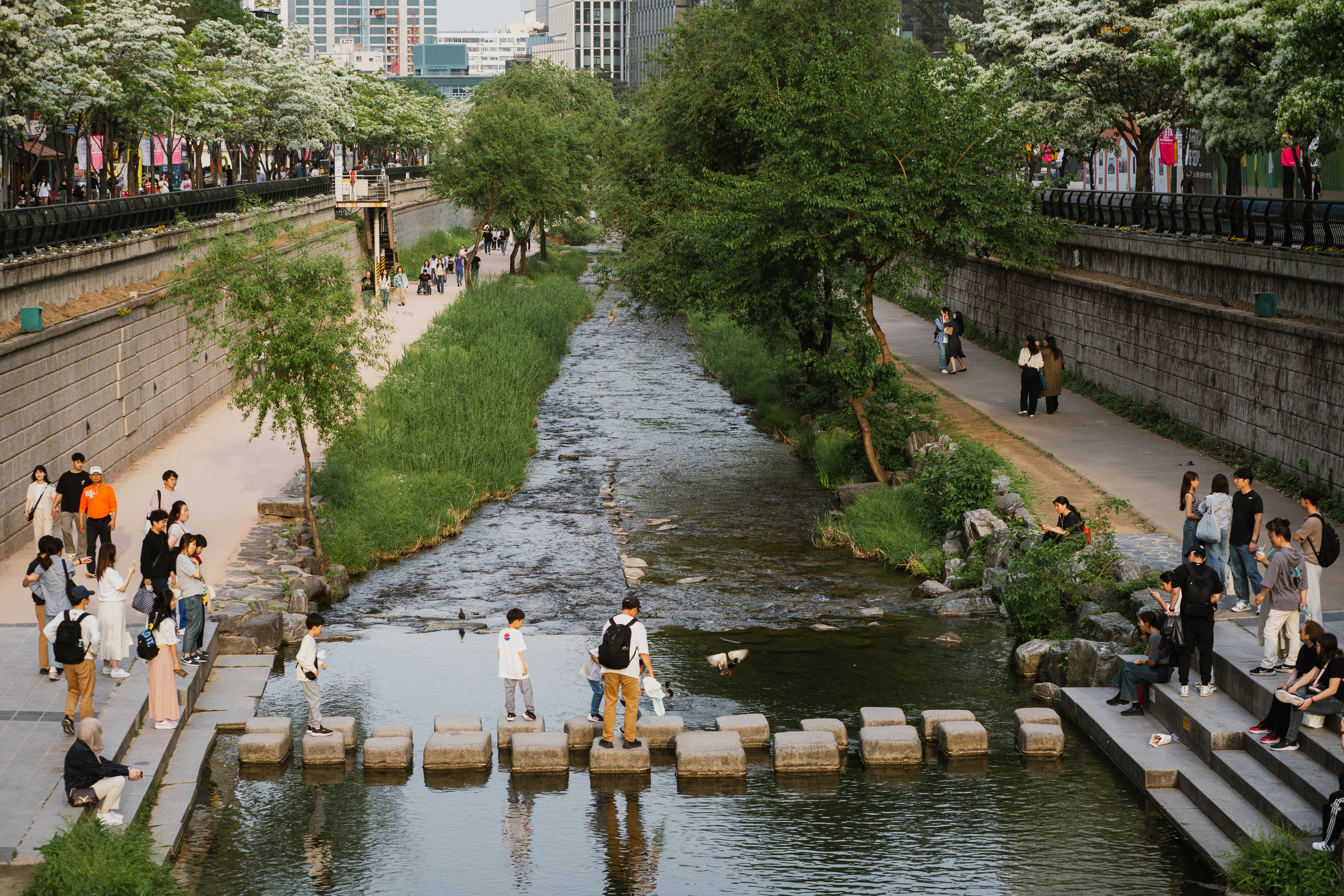 Южная Корея