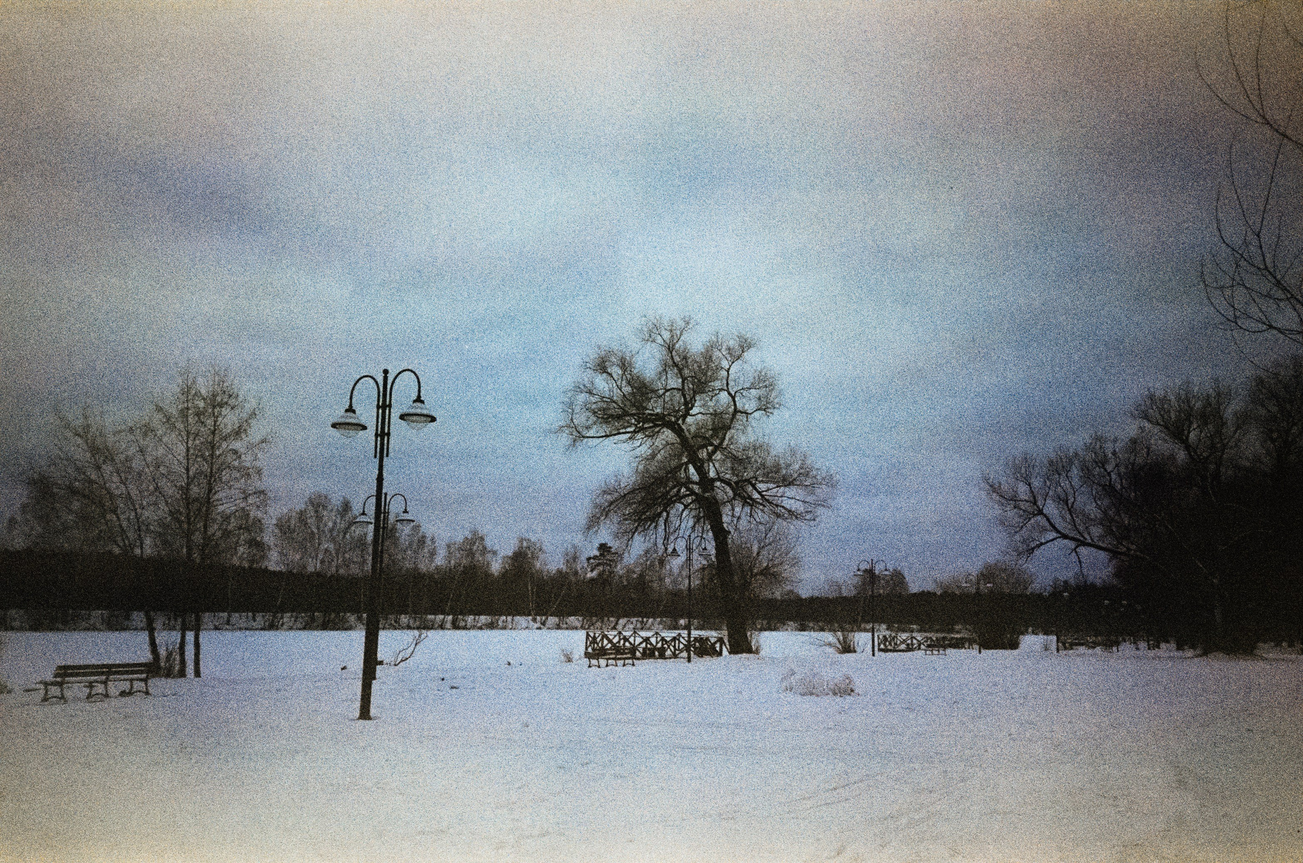 Fujicolor Superia 200 (просрочка) / Cosina CX-1 / 6 января 2025 года Усадьба Архангельское