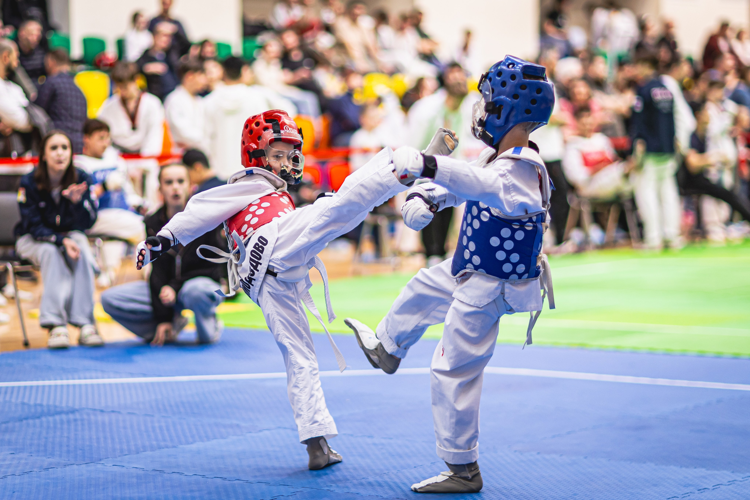 Турнир ВДЮФСОО «ФЕДЕРАЦИЯ ДЕТСКОГО ТХЭКВОНДО РОССИИ» и МОО СПКЕ «ЭРИДАН» по «СПОРТИВНОМУ БОЮ КЕРУГИ». Спортивный фотограф Максим Серегин