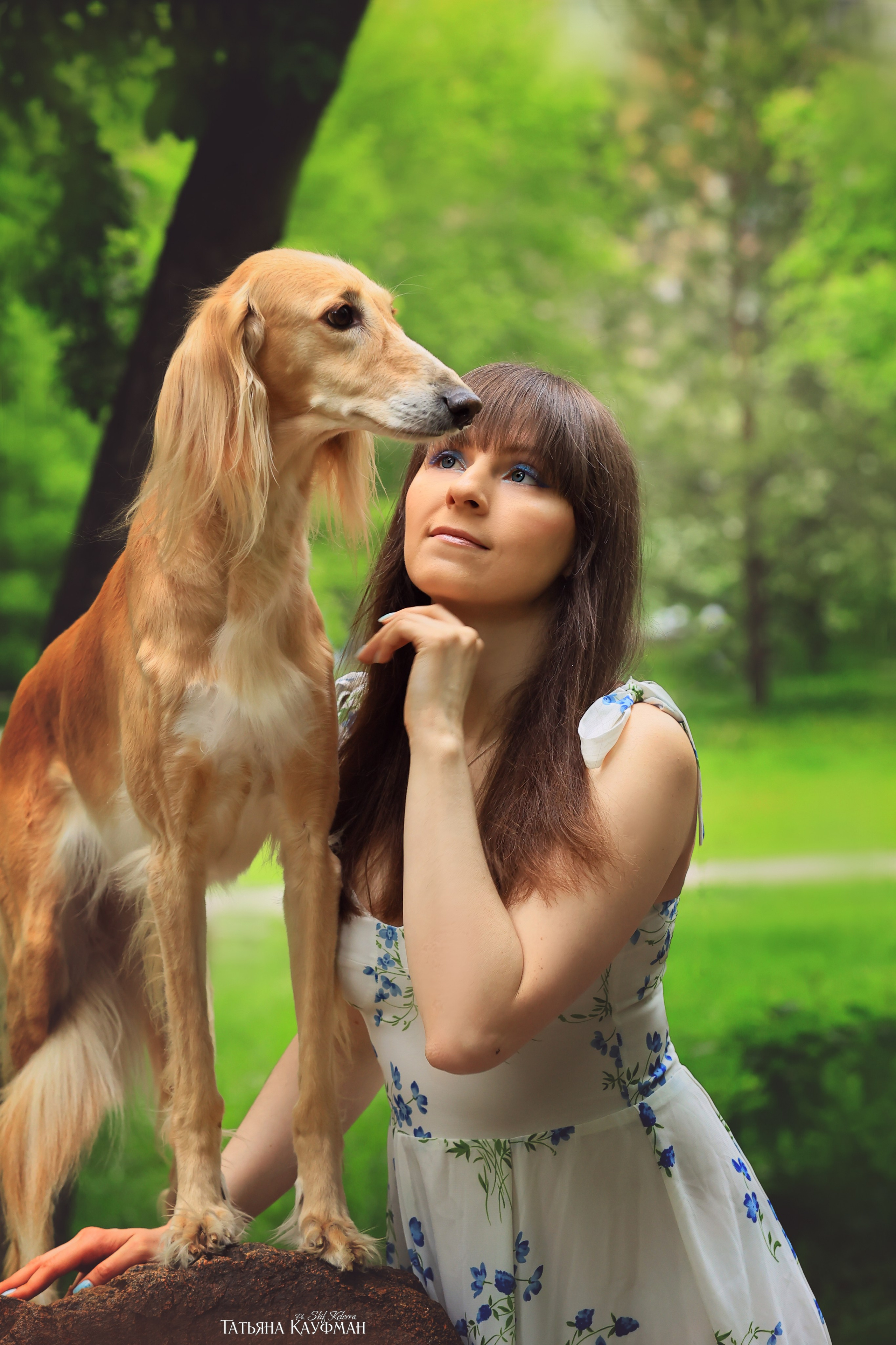 Салюки, фотография салюки, собака в цветах, красивая собака, фотограф анималист, фотокурс Анималистика, научиться фотографировать собак, фотограф Новосибирск
