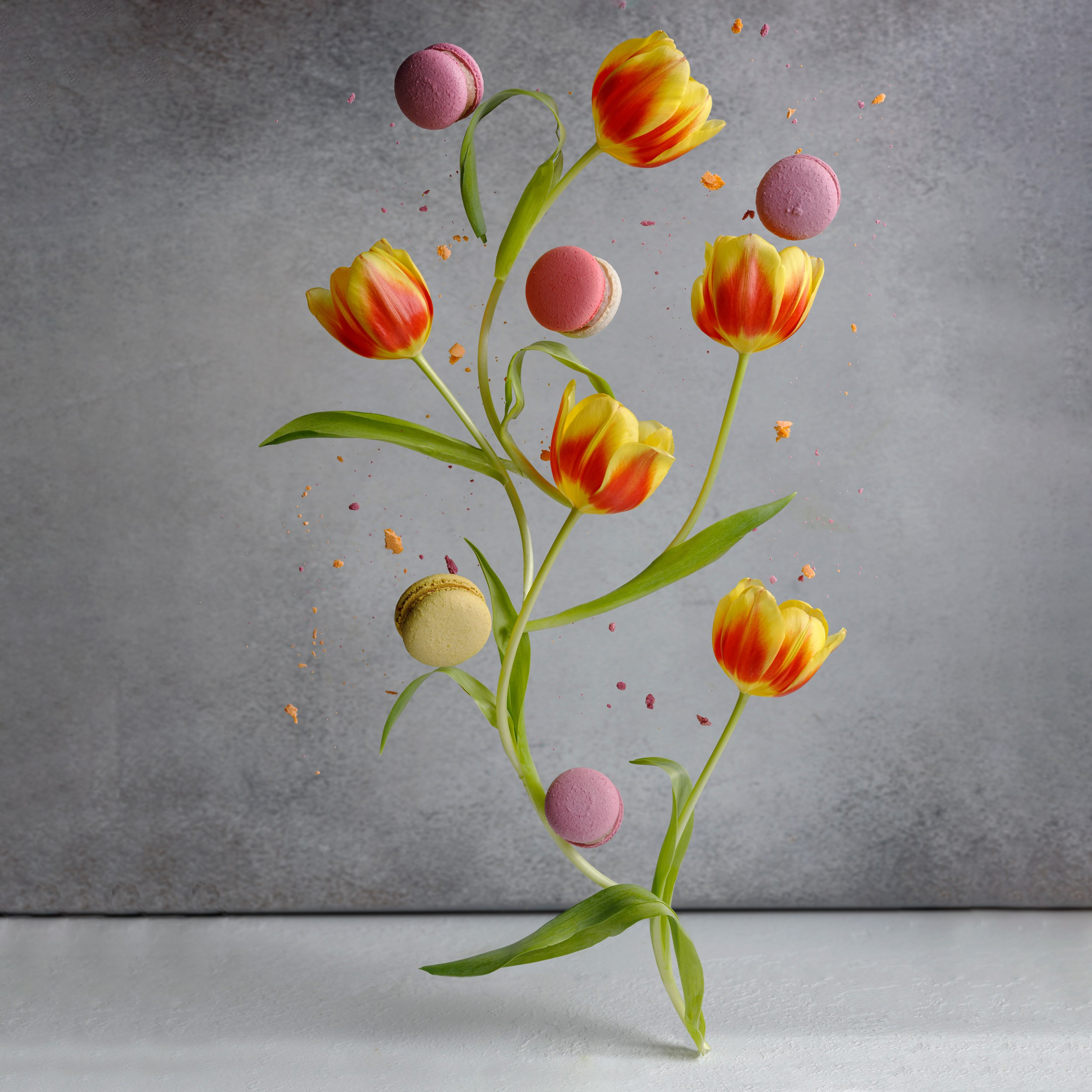 Левитация и спецэффекты. Фуд и предметный фотограф Гришина Ольга