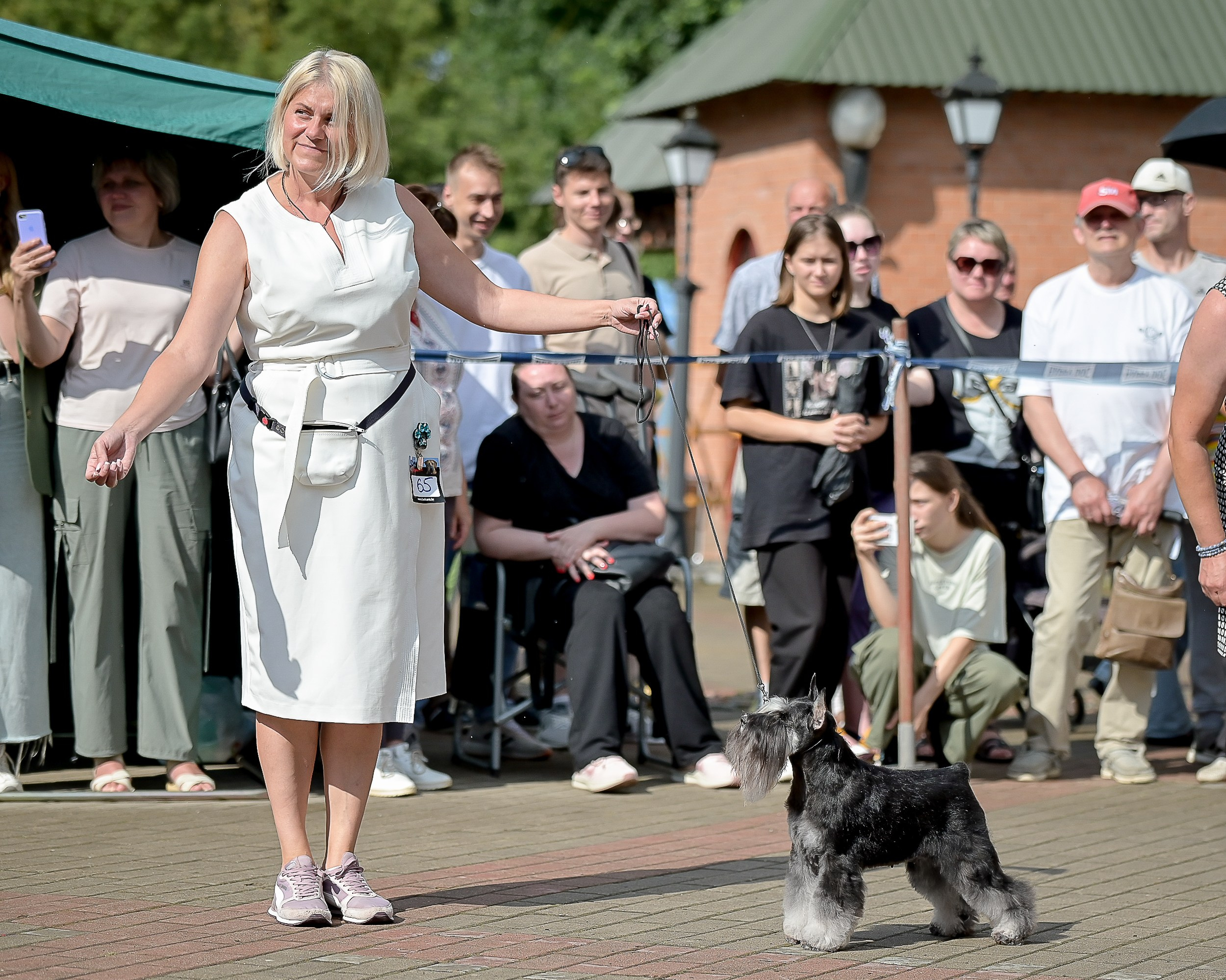 Питомник Делинсо Бэлэнс, щенки цвергшнауцера, купить щенка цвергшнауцера, питомник цвергшнауцеров, кобель цвергшнауцера для вязки, щенок цвергшнауцера, питомник цвергшнауцеров, черный с серебром, цверг, лучший питомник в беларуси, питомник цвергшнауцеров минск