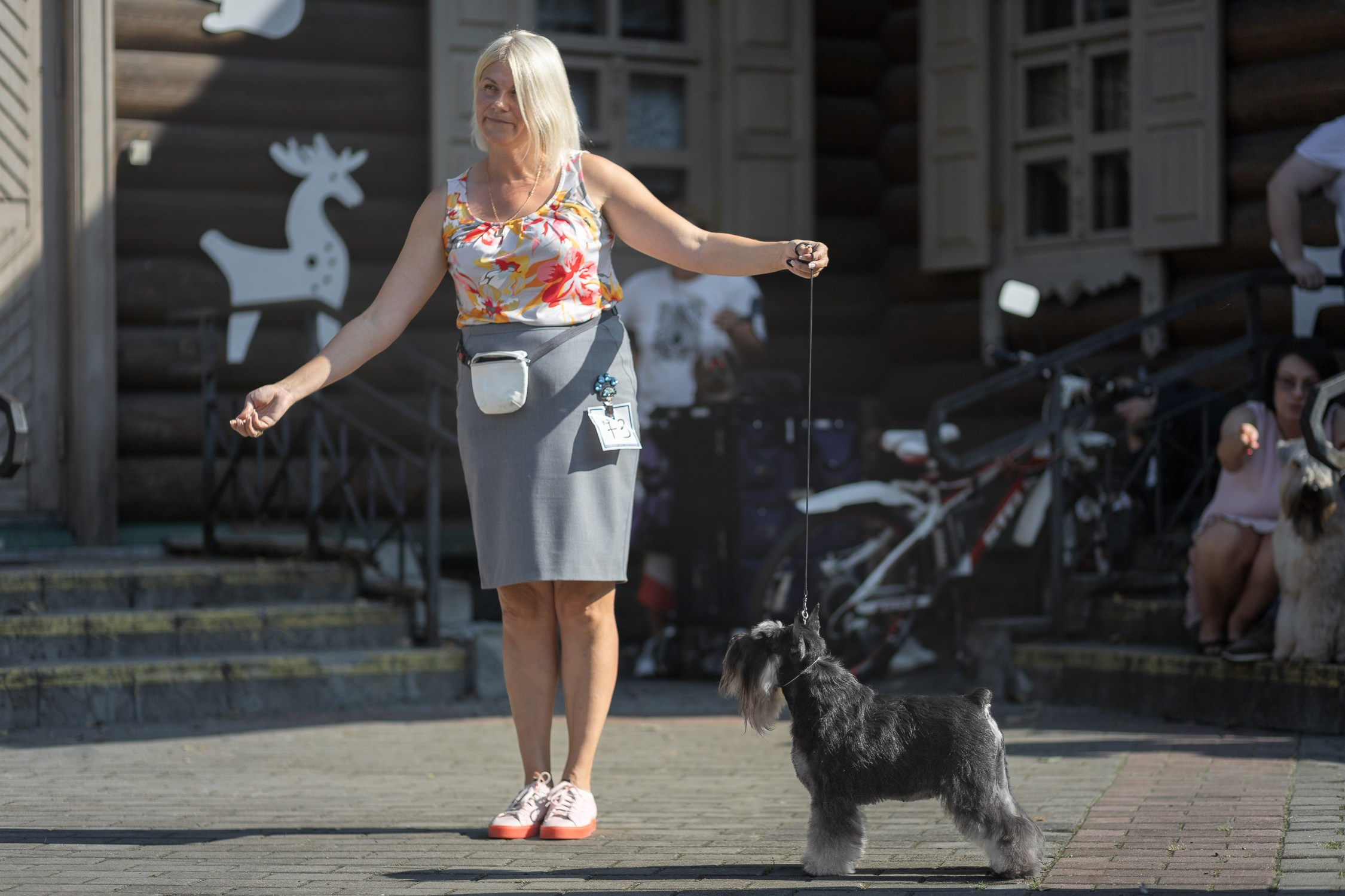 Питомник Делинсо Бэлэнс, щенки цвергшнауцера, купить щенка цвергшнауцера, питомник цвергшнауцеров, кобель цвергшнауцера для вязки, щенок цвергшнауцера, питомник цвергшнауцеров, черный с серебром, цверг, лучший питомник в беларуси, питомник цвергшнауцеров минск