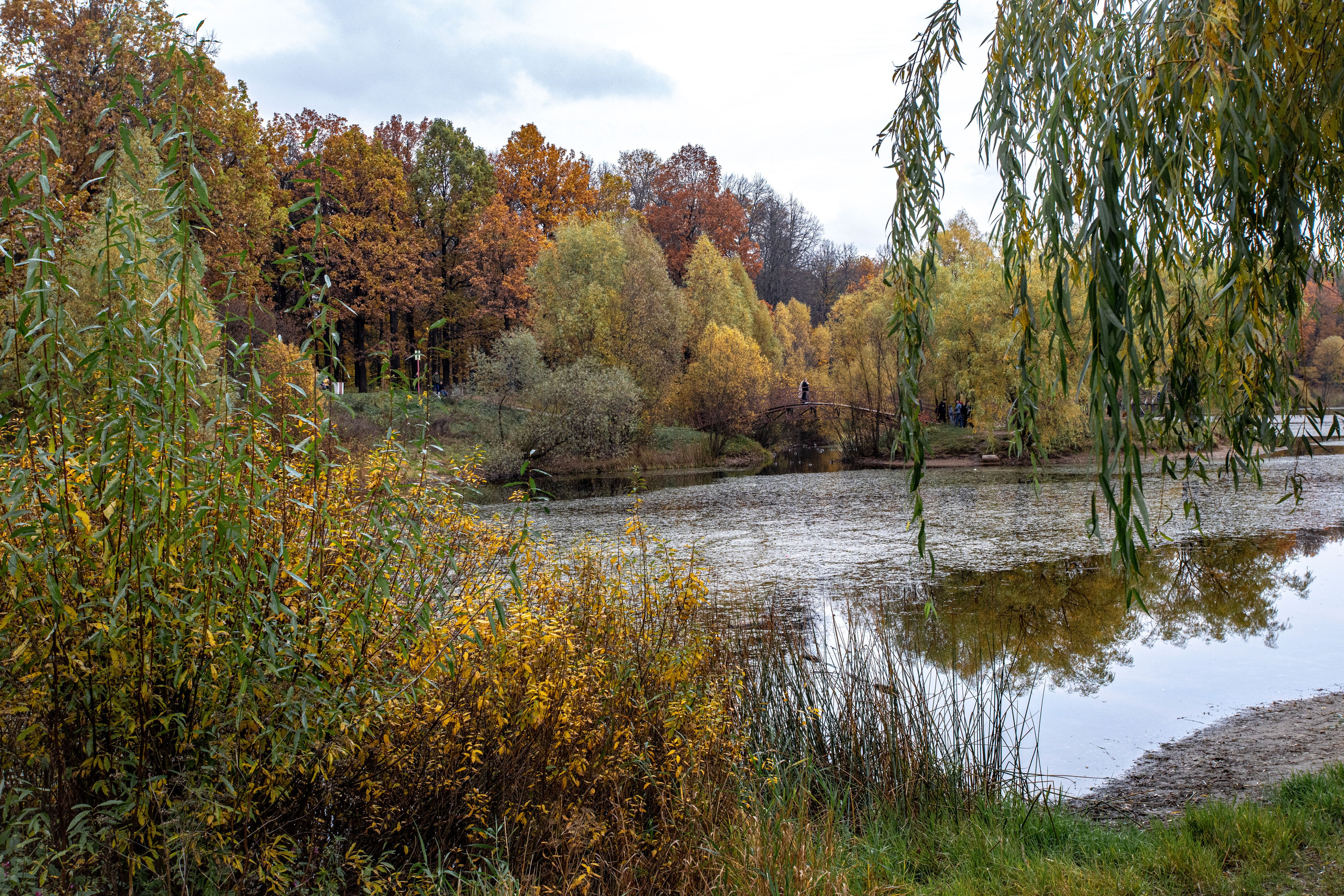 Осень. Свадьбы, портретная, предметная съемка. Фотограф Александр К