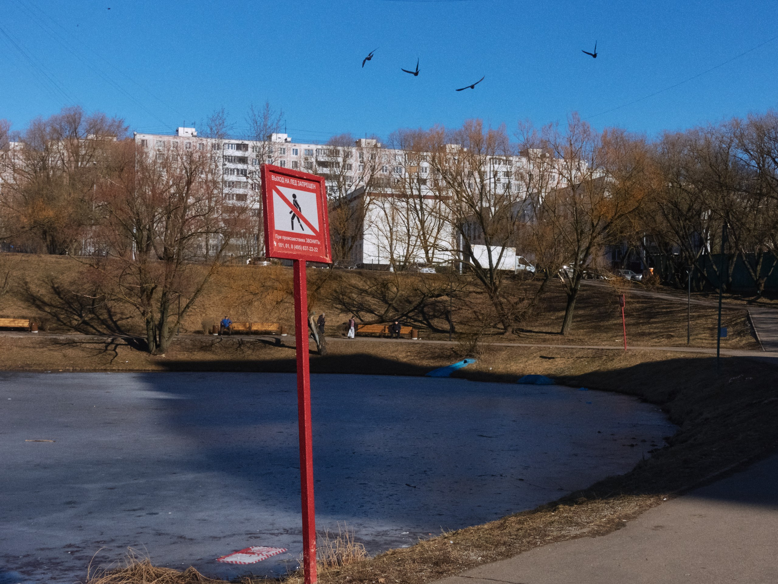 Дневной Сон. Иван Кобяков