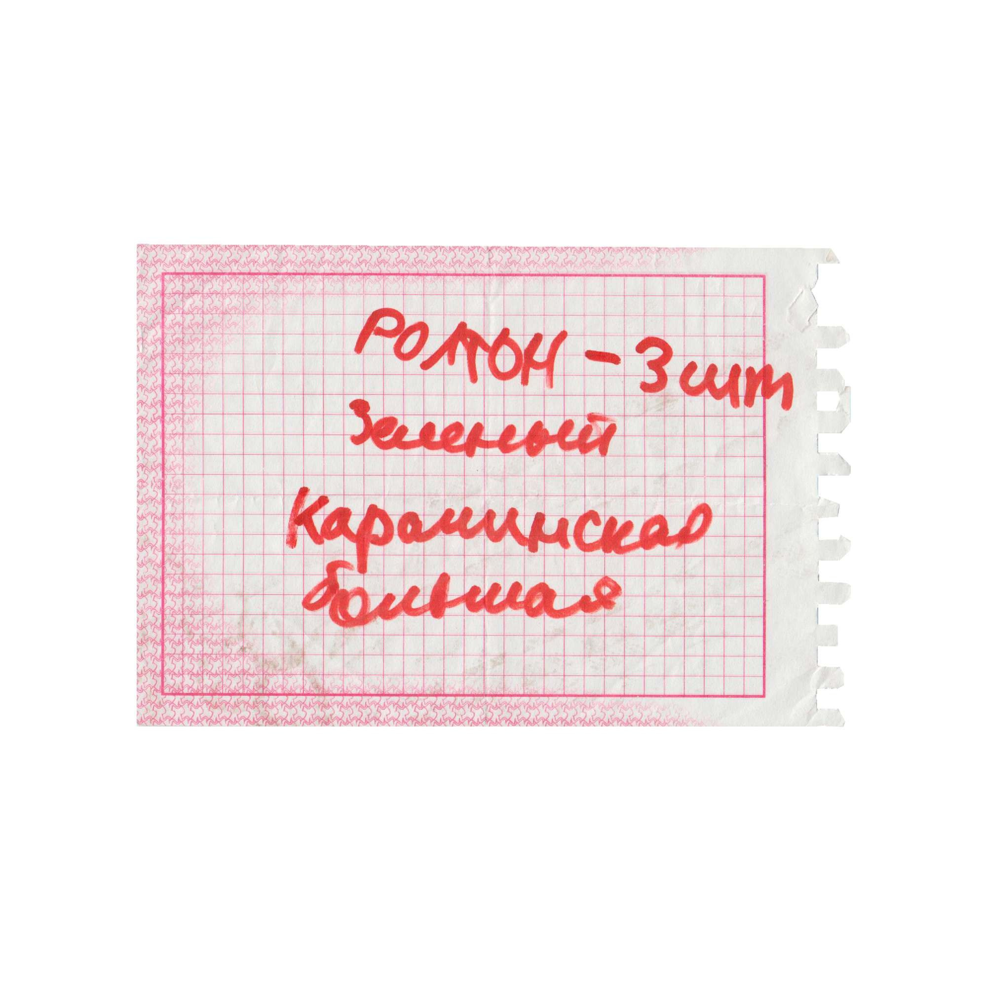 Accidental intrusions. Maria Pilkevich