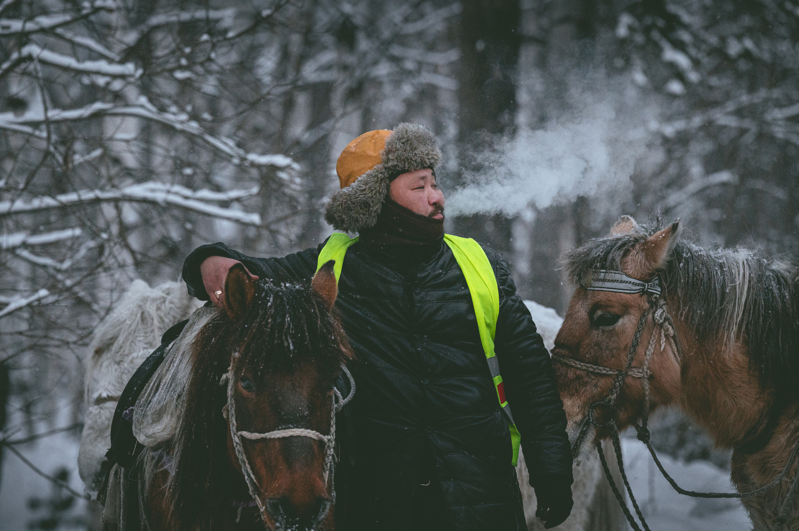 Якутские всадники в Иркутской области (конный поход Оймякон-Москва). Репортажный фотограф Анна Диденко