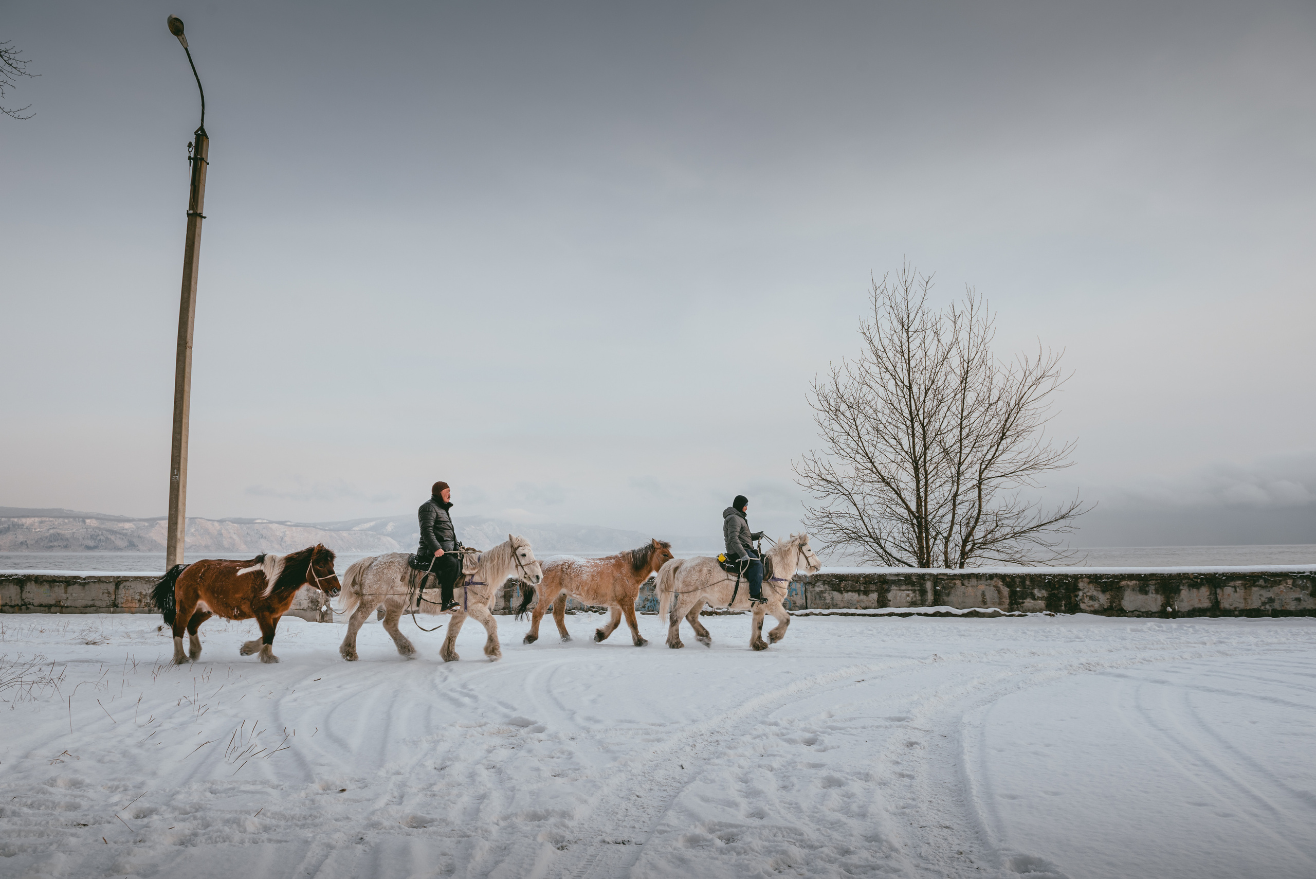 Якутские всадники в Иркутской области (конный поход Оймякон-Москва). Репортажный фотограф Анна Диденко