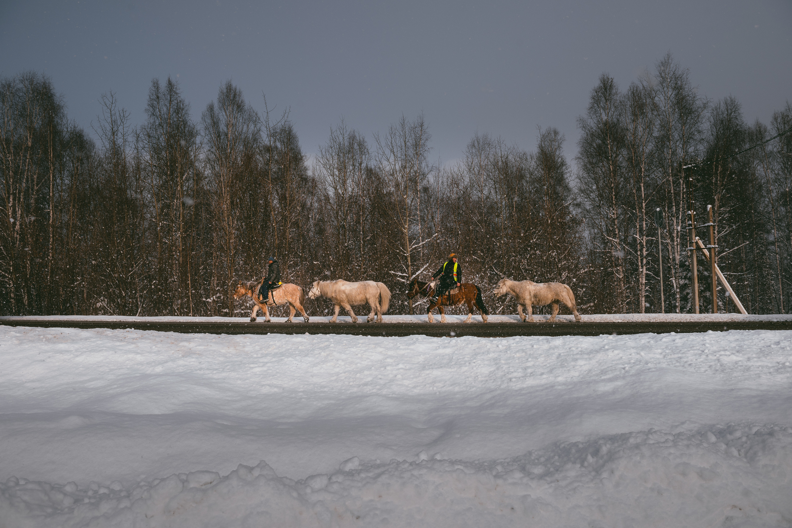 Якутские всадники в Иркутской области (конный поход Оймякон-Москва). Репортажный фотограф Анна Диденко