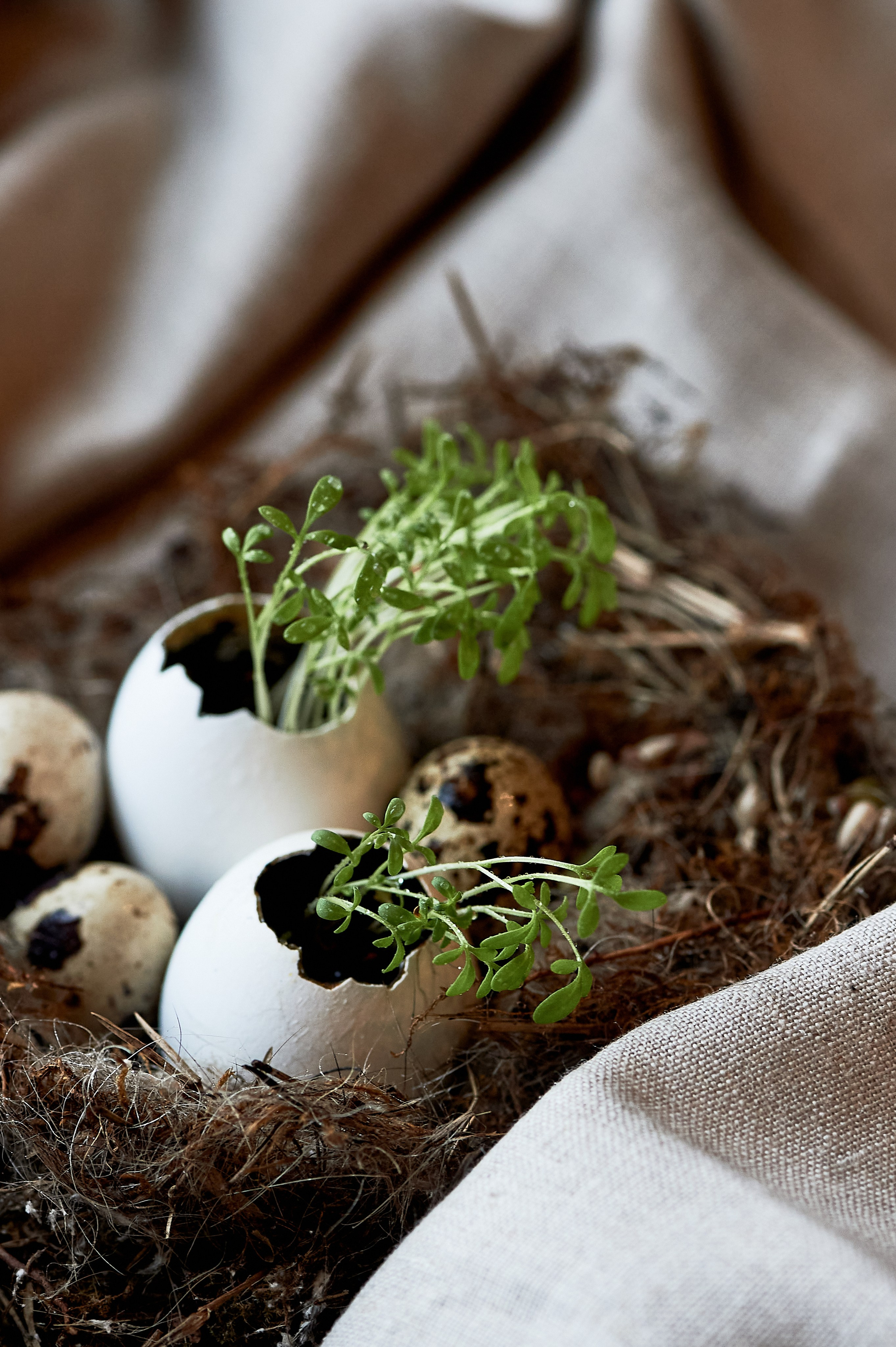 Творческая предметная фотосессия. Фотограф, психолог в Москве, Жуковском, Раменском Галина Майлер