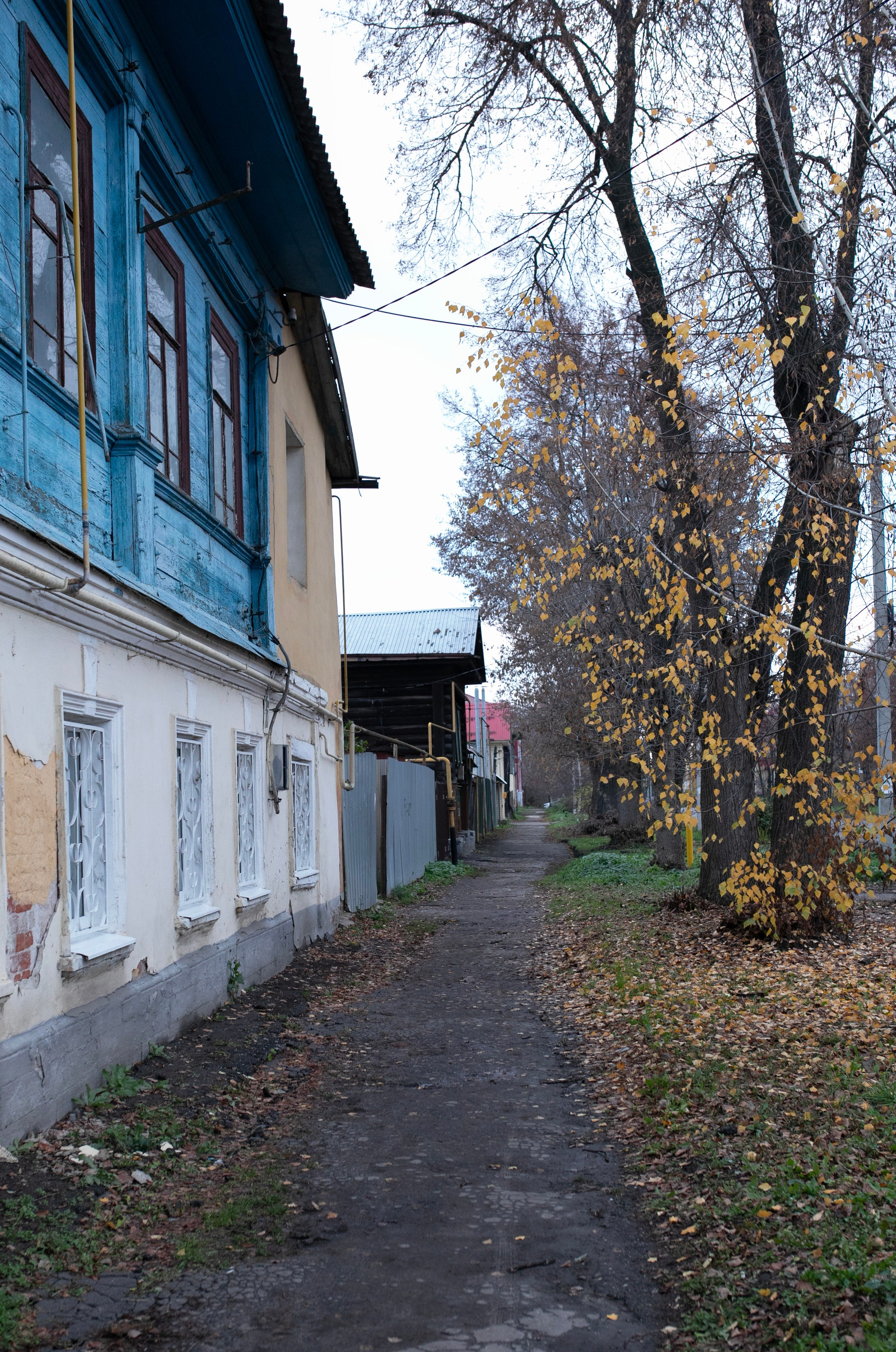 Муром — Гороховец'25. Фотограф-портретист в Москве
