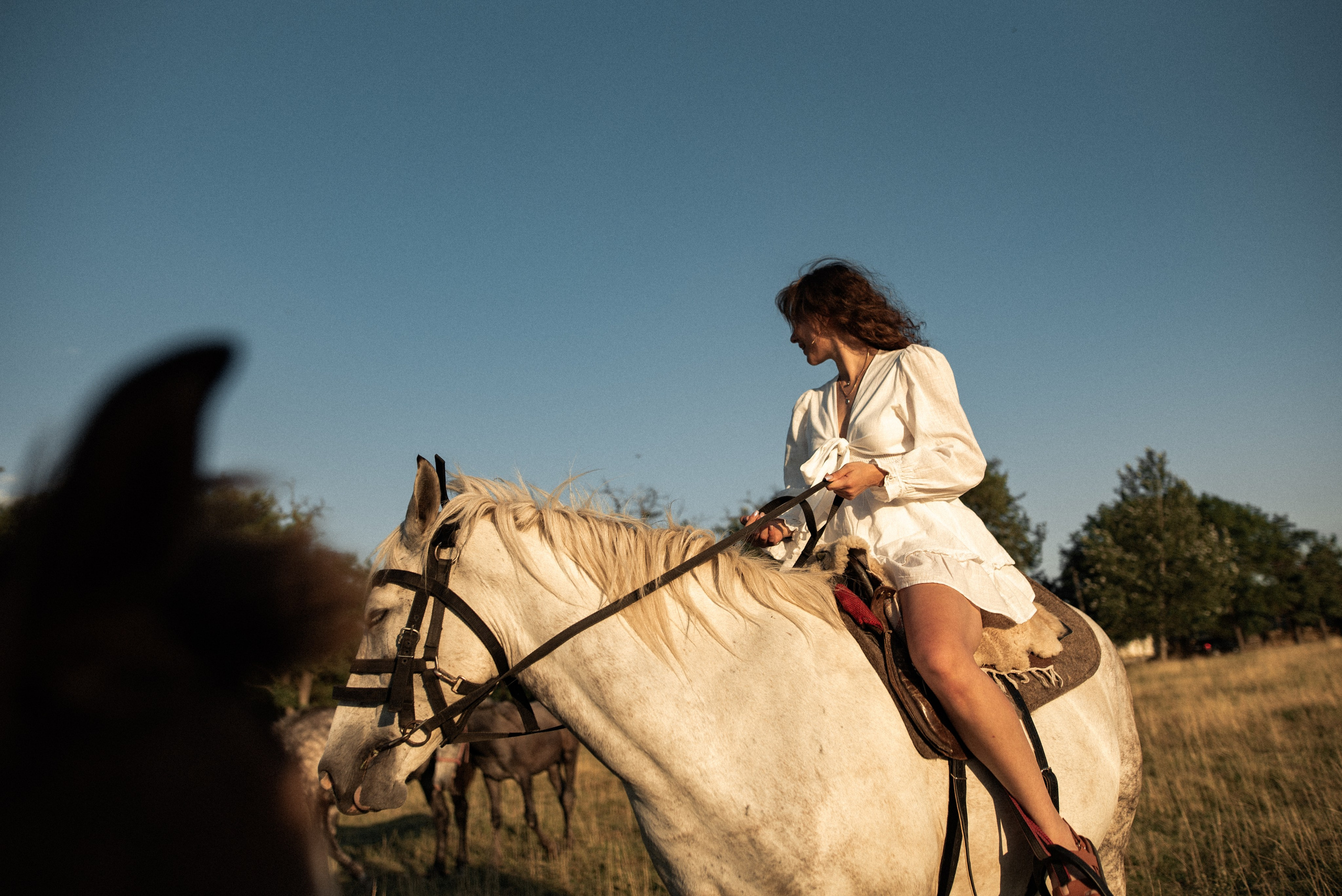 В гостях у Руны. Семейный и детский фотограф в Санкт-Петербурге Татьяна Дмитренко