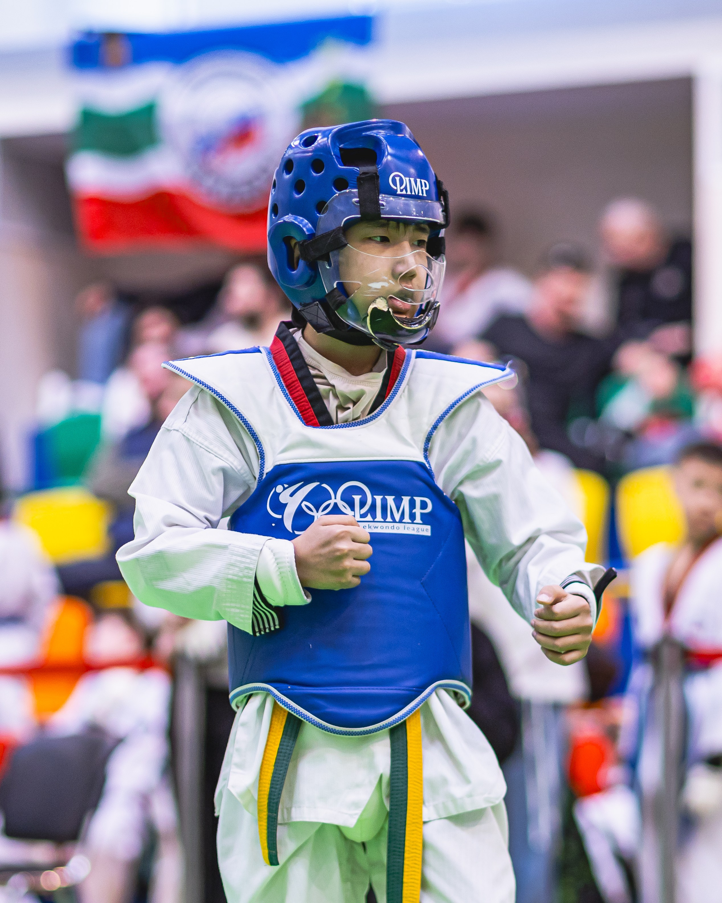 Турнир ВДЮФСОО «ФЕДЕРАЦИЯ ДЕТСКОГО ТХЭКВОНДО РОССИИ» и МОО СПКЕ «ЭРИДАН» по «СПОРТИВНОМУ БОЮ КЕРУГИ». Спортивный фотограф Максим Серегин