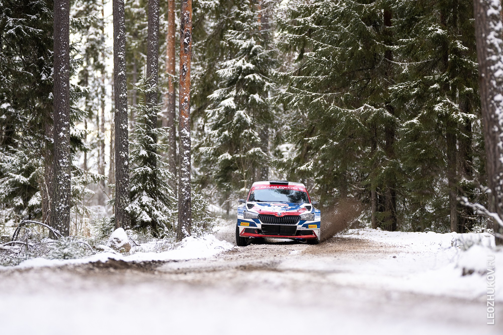 Rally Vyborg 2024. Sports photographer Leonid Zhukov