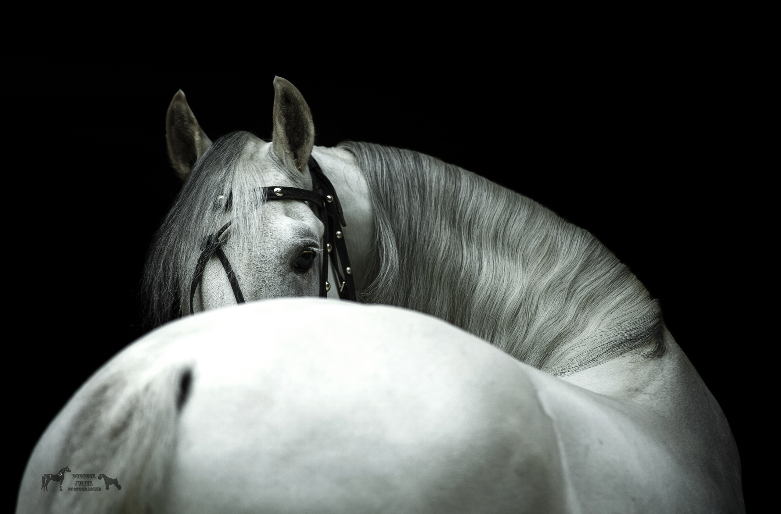 Фотограф в Москве Дудкова Юлия