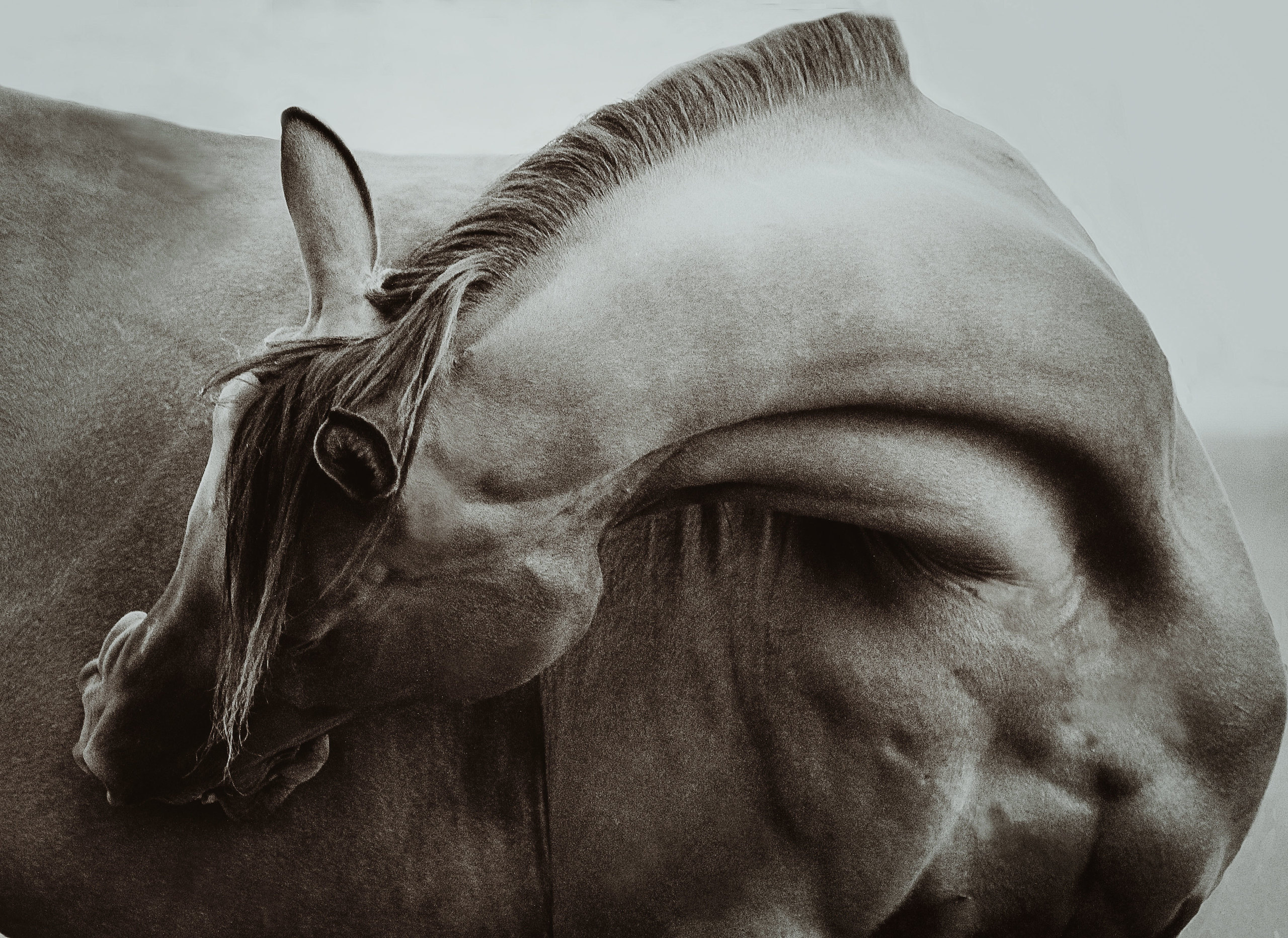 Фотограф в Москве Дудкова Юлия