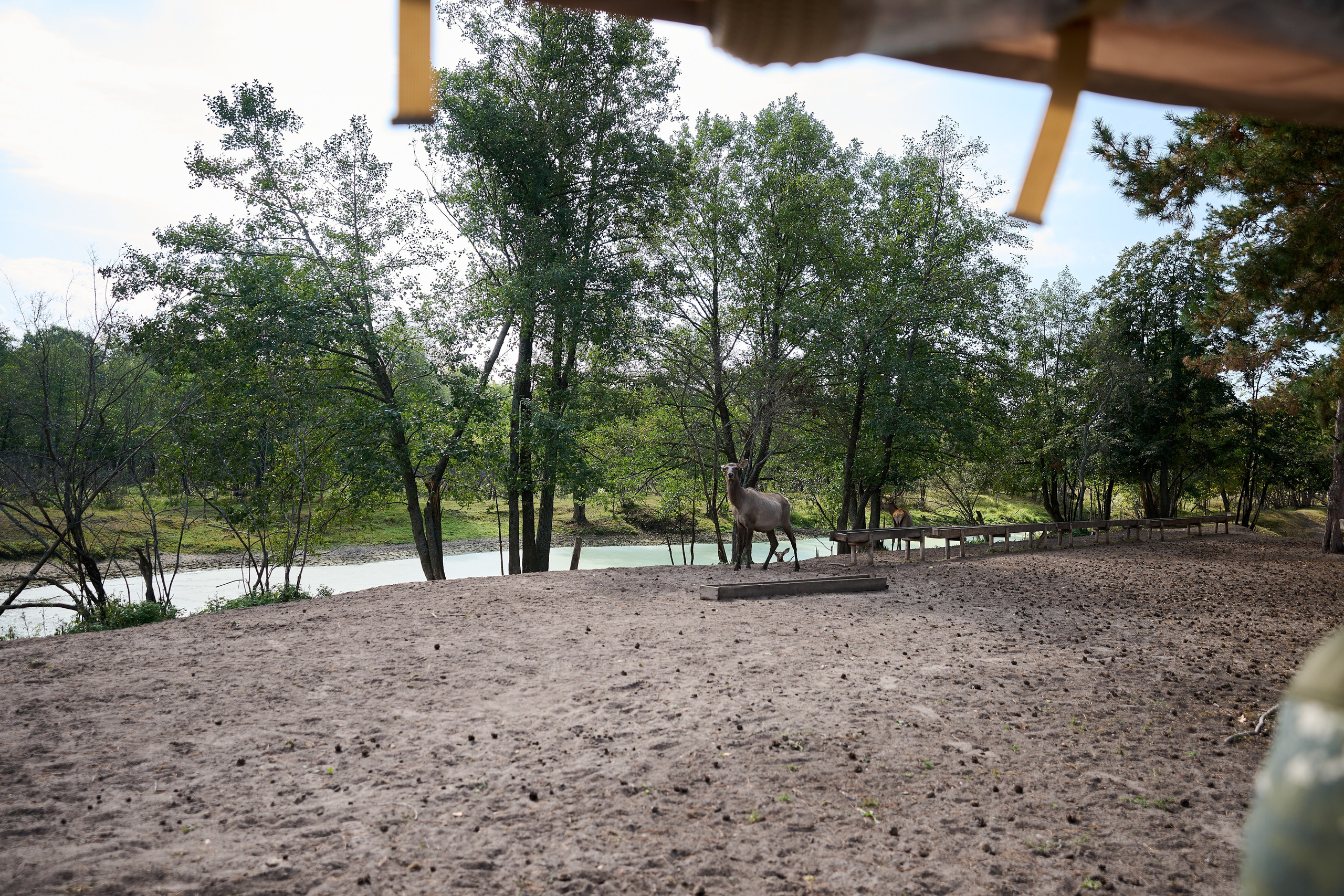 Кречет. Фотосъемка мероприятий