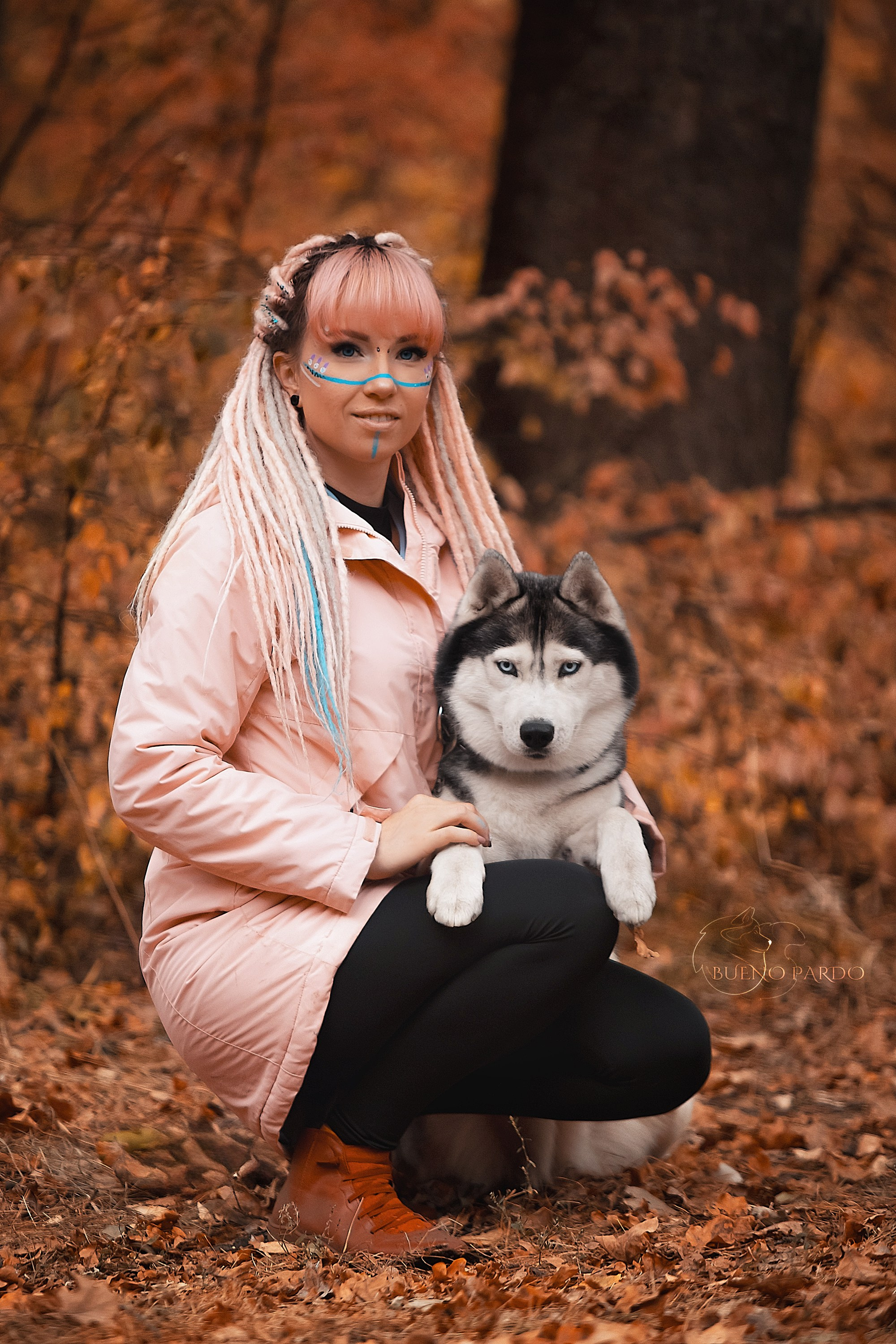 Собаки питомника Bueno Pardo. Питомник собак Акита, Хаски, Корги