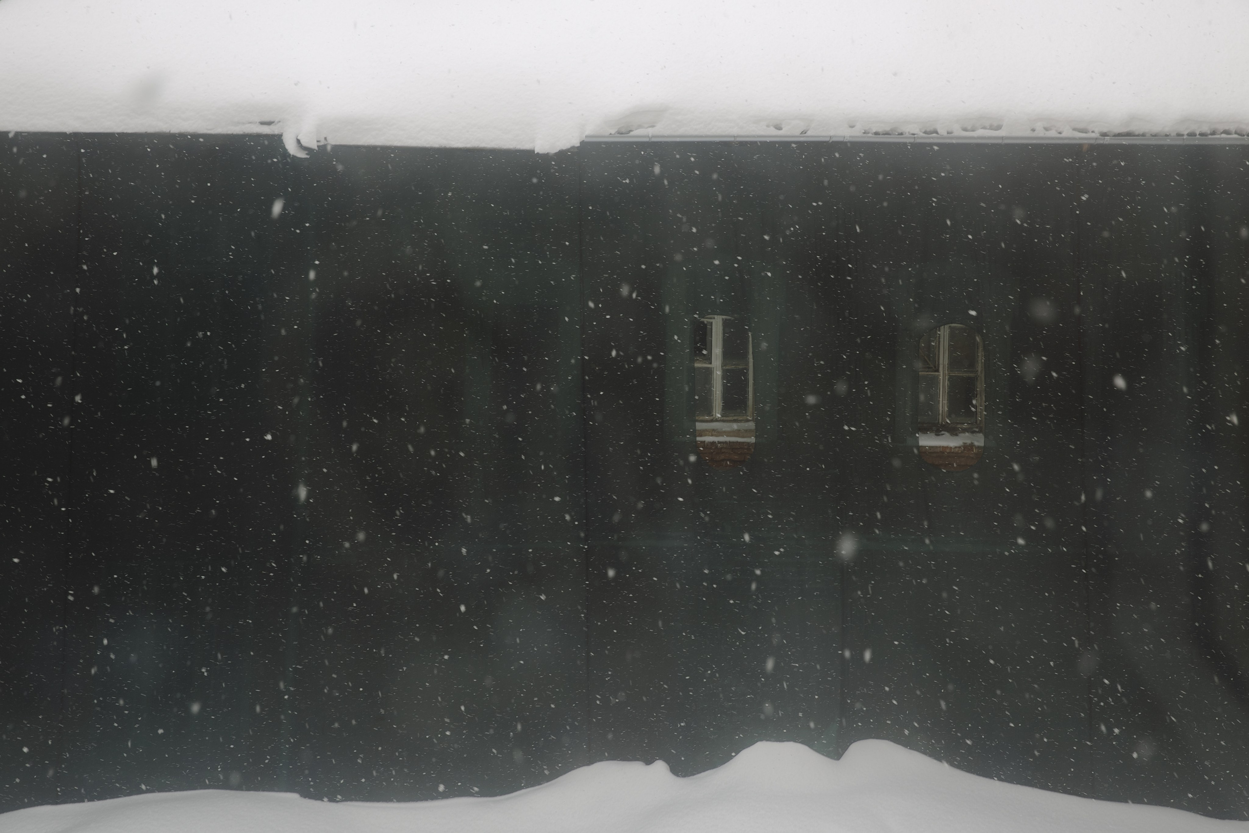 Снег идёт ❄️. Миша Печёнкин | фотография