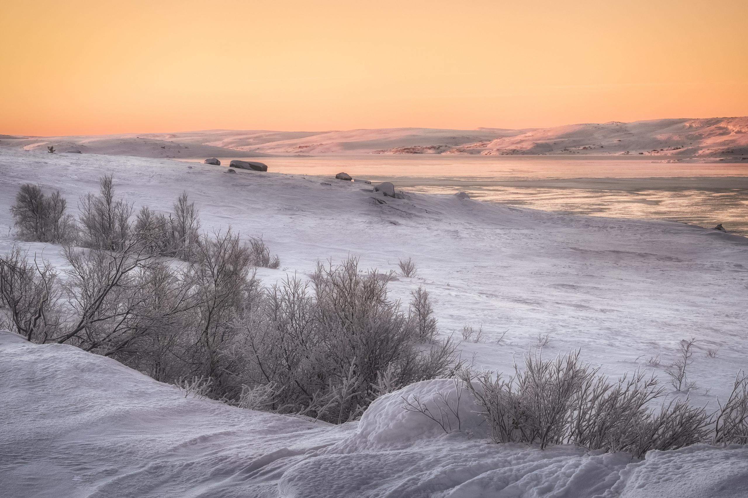 Предзимье на Кольском