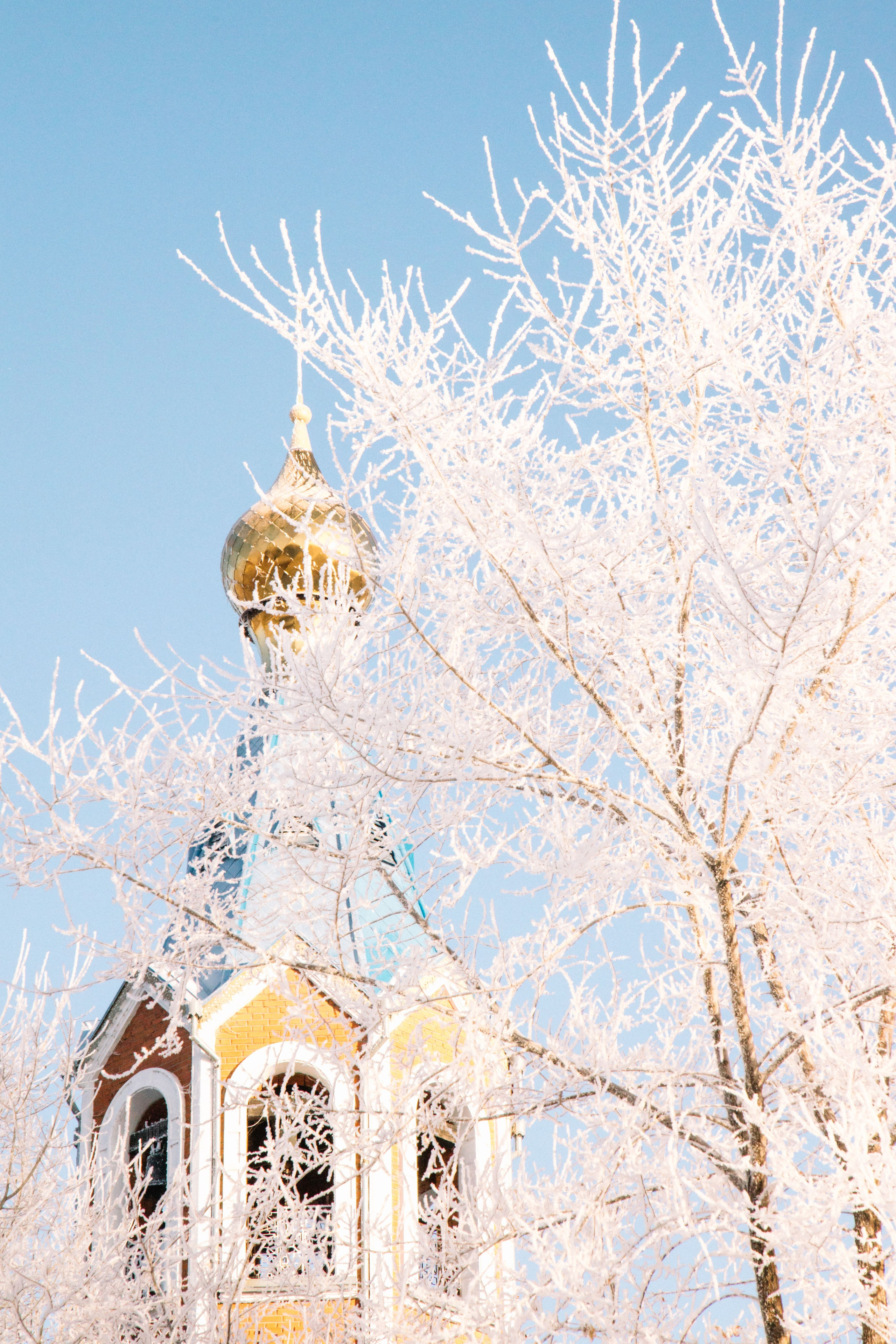 Семейный, репортажный, десткий фотограф Комсомольск-на-Амуре