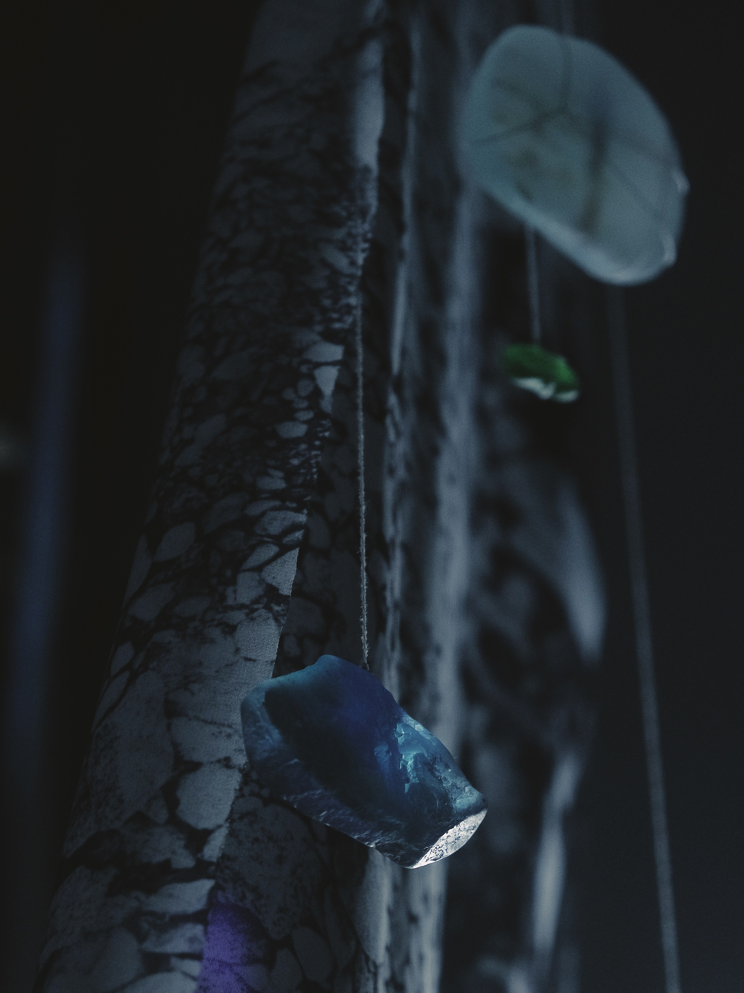 The Shore. Elina Gusarova