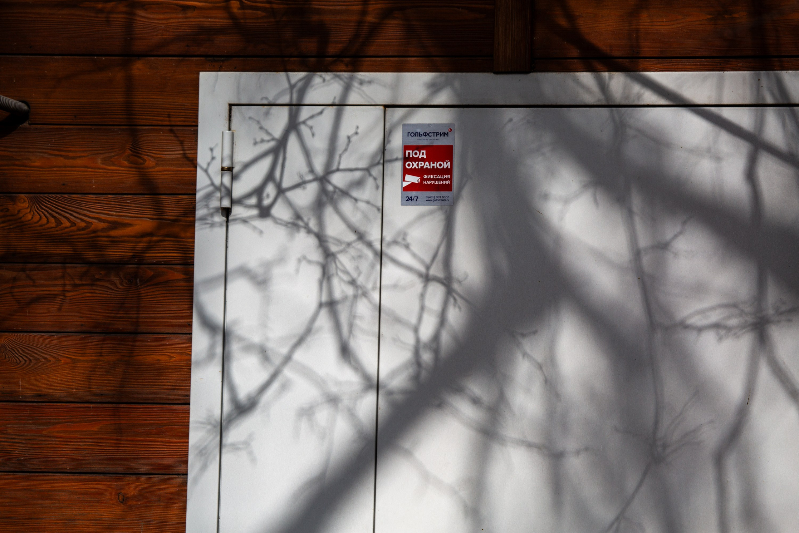 Весенняя фотопрогулка. Главная