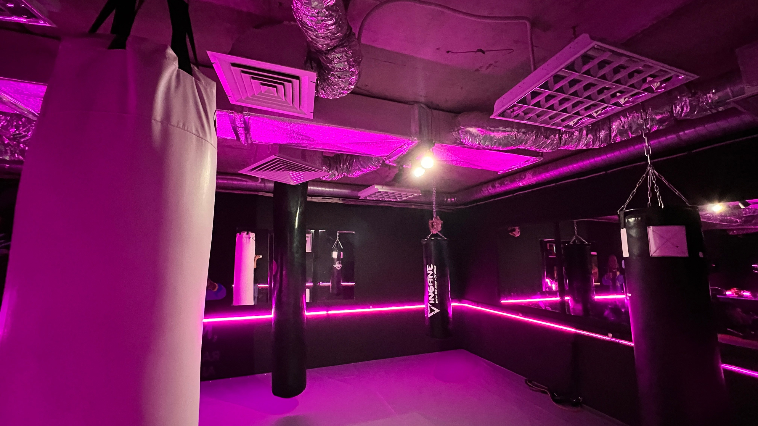 Тренировки по боксу для девушек и женщин — Gray Shark Studio