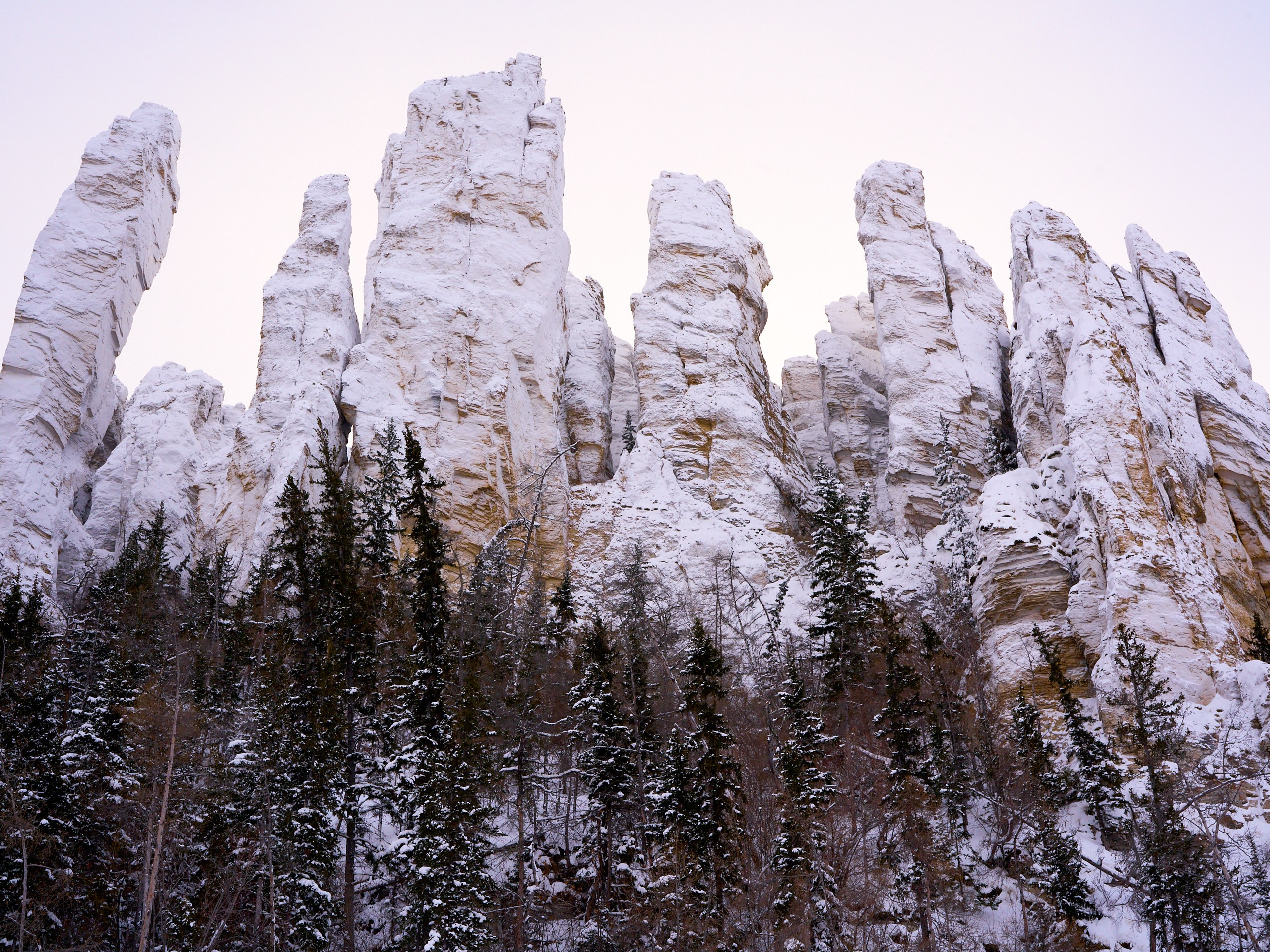 Объектив бродяги