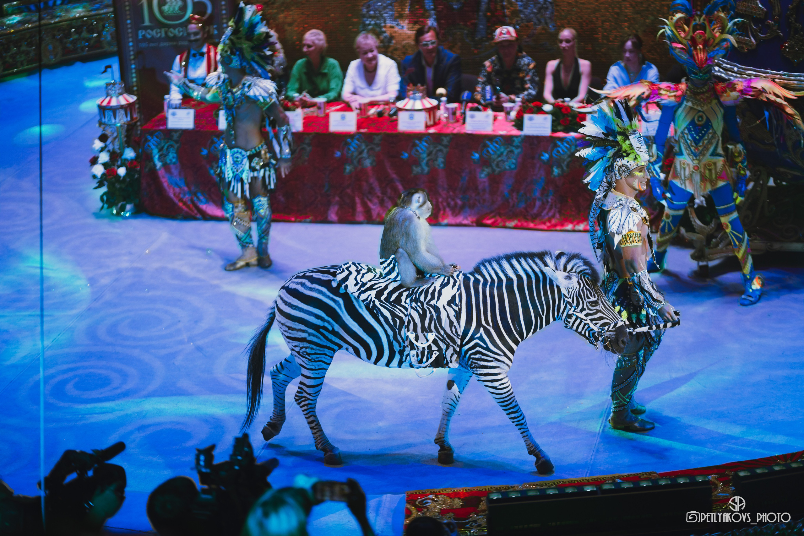 Пресс-конференция циркового шоу Гии Эрадзе «Бурлеск» (репортаж). Фотограф, видеограф Пятигорск, Ставрополь, Ессентуки, Petlyakovs_photo