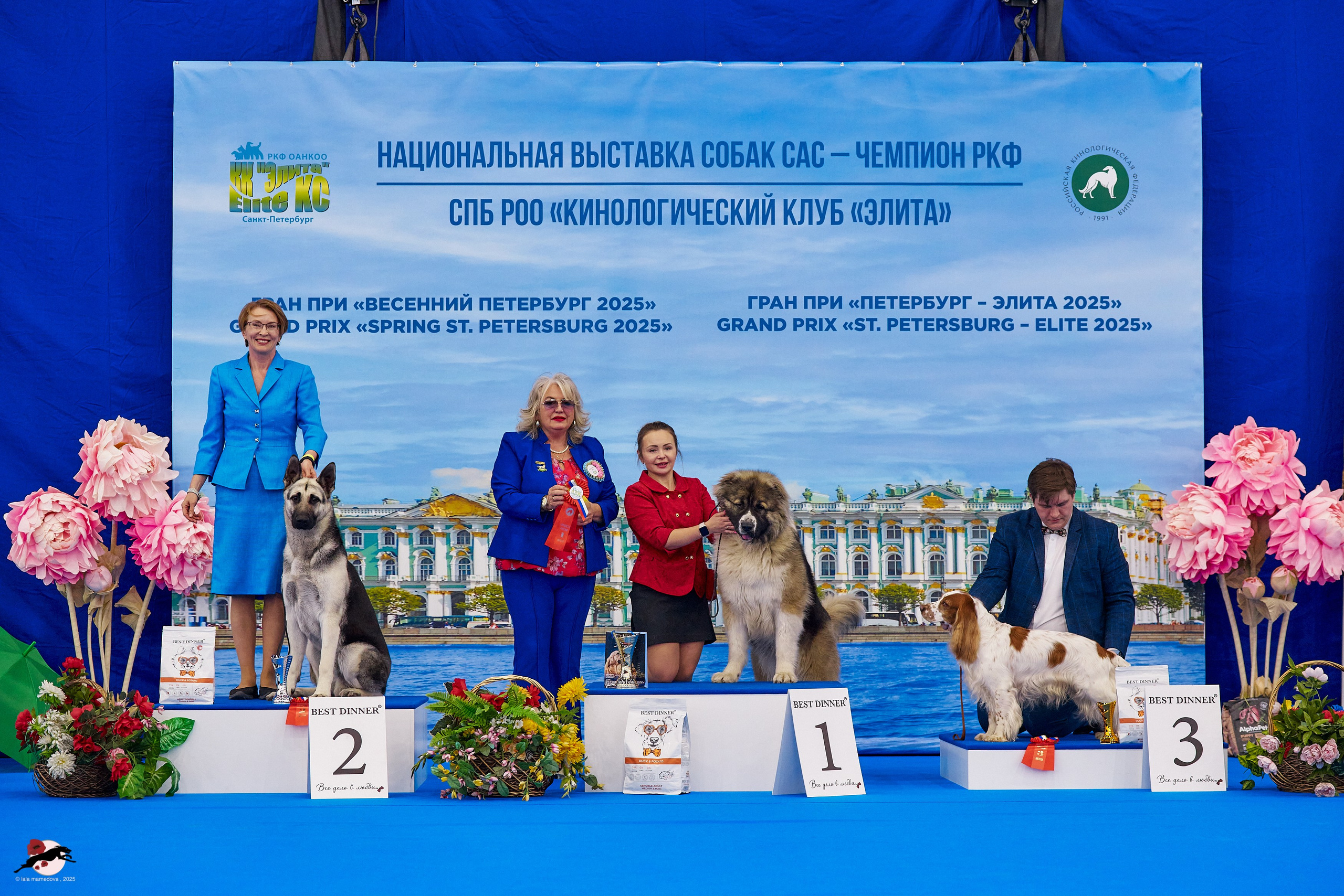 ГРАН ПРИ «ВЕСЕННИЙ ПЕТЕРБУРГ» & «СУПЕР КУБОК «ЭЛИТЫ»-2025»