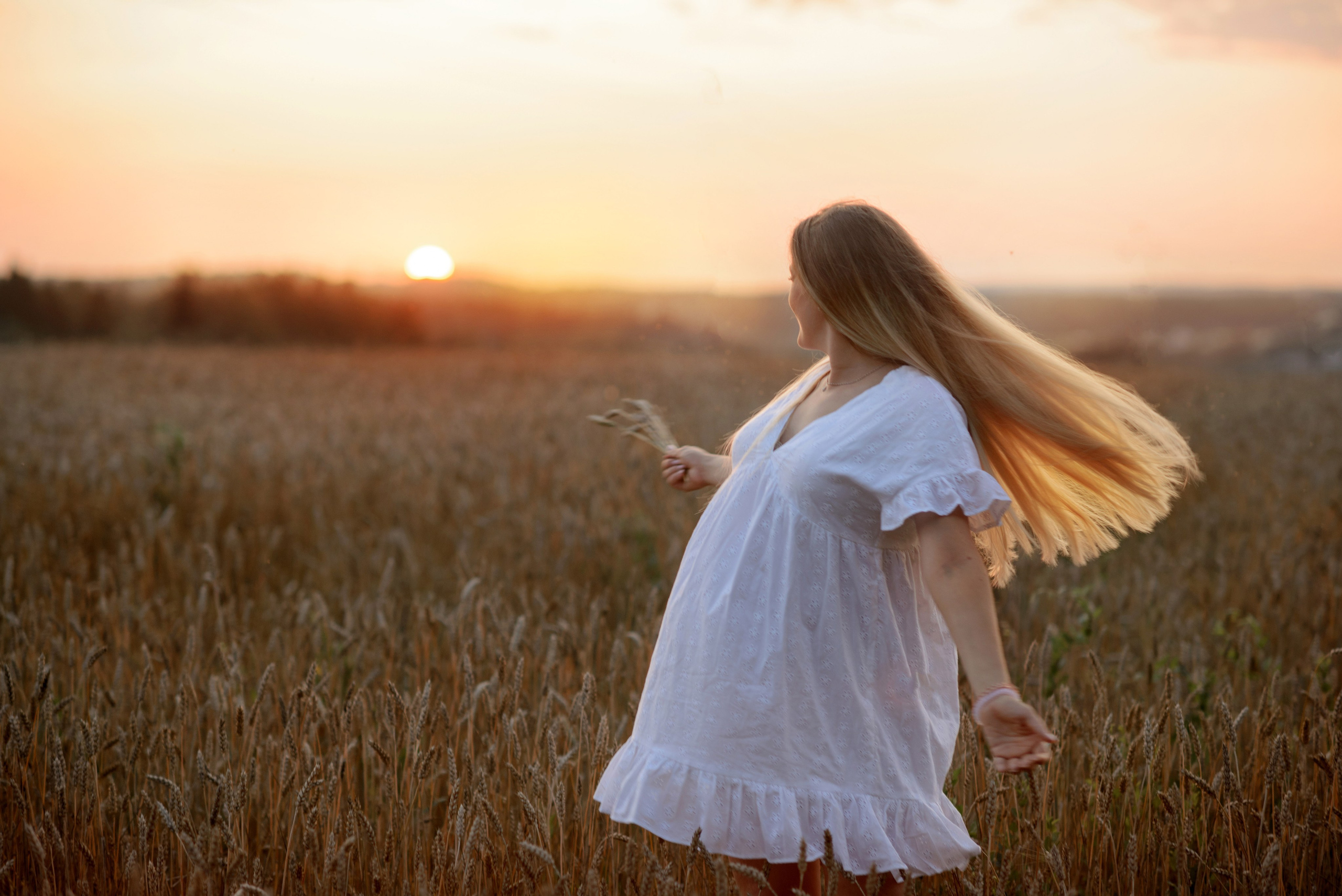 Photo shoot, a pregnant woman in a wheat field at sunset