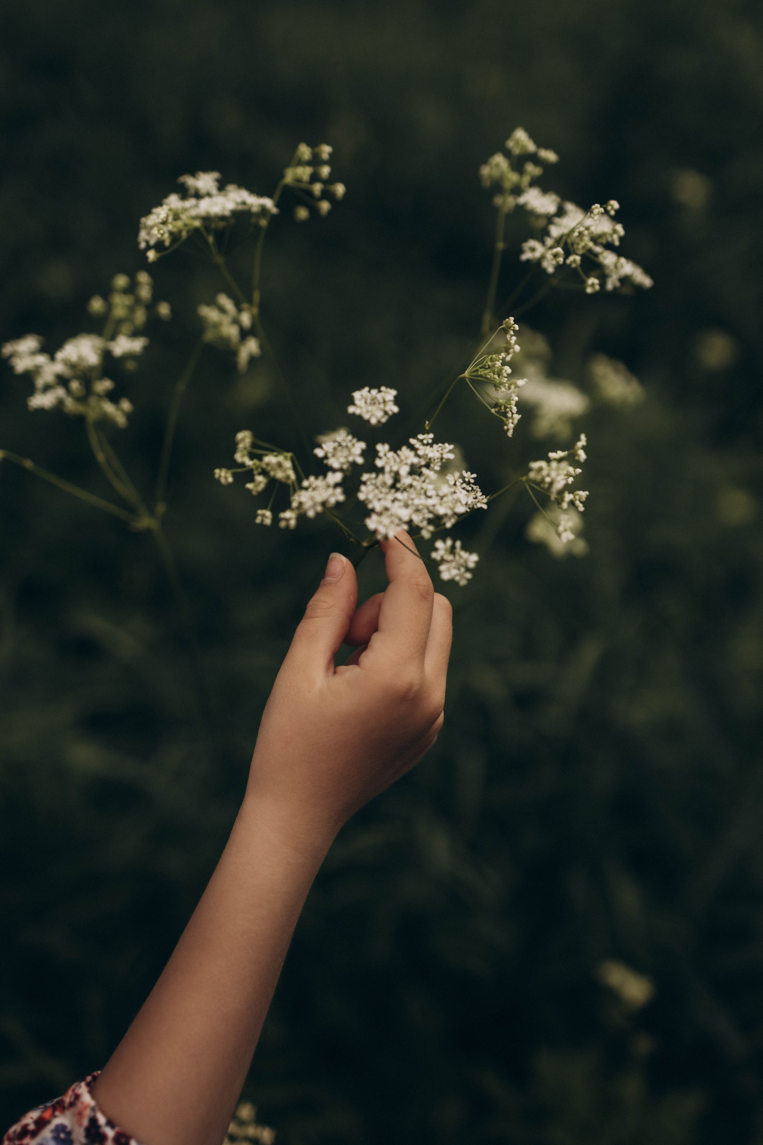 Фотограф lifestylе в Москве Пшеничная Анастасия