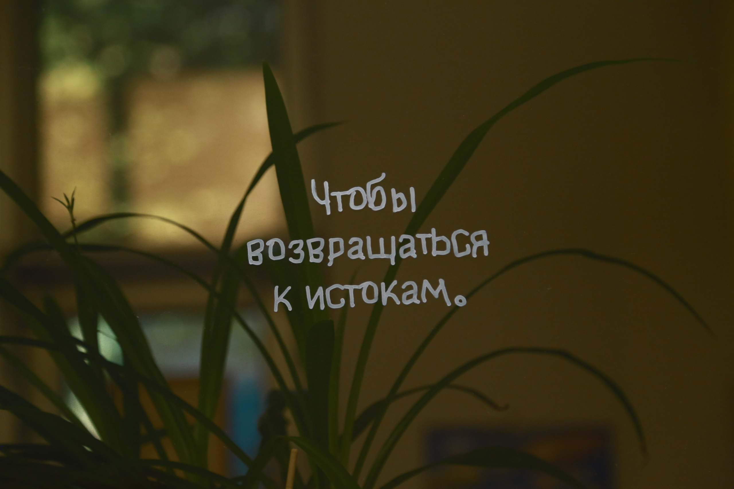 Жердёла 2025 Москва. Лера Круглова