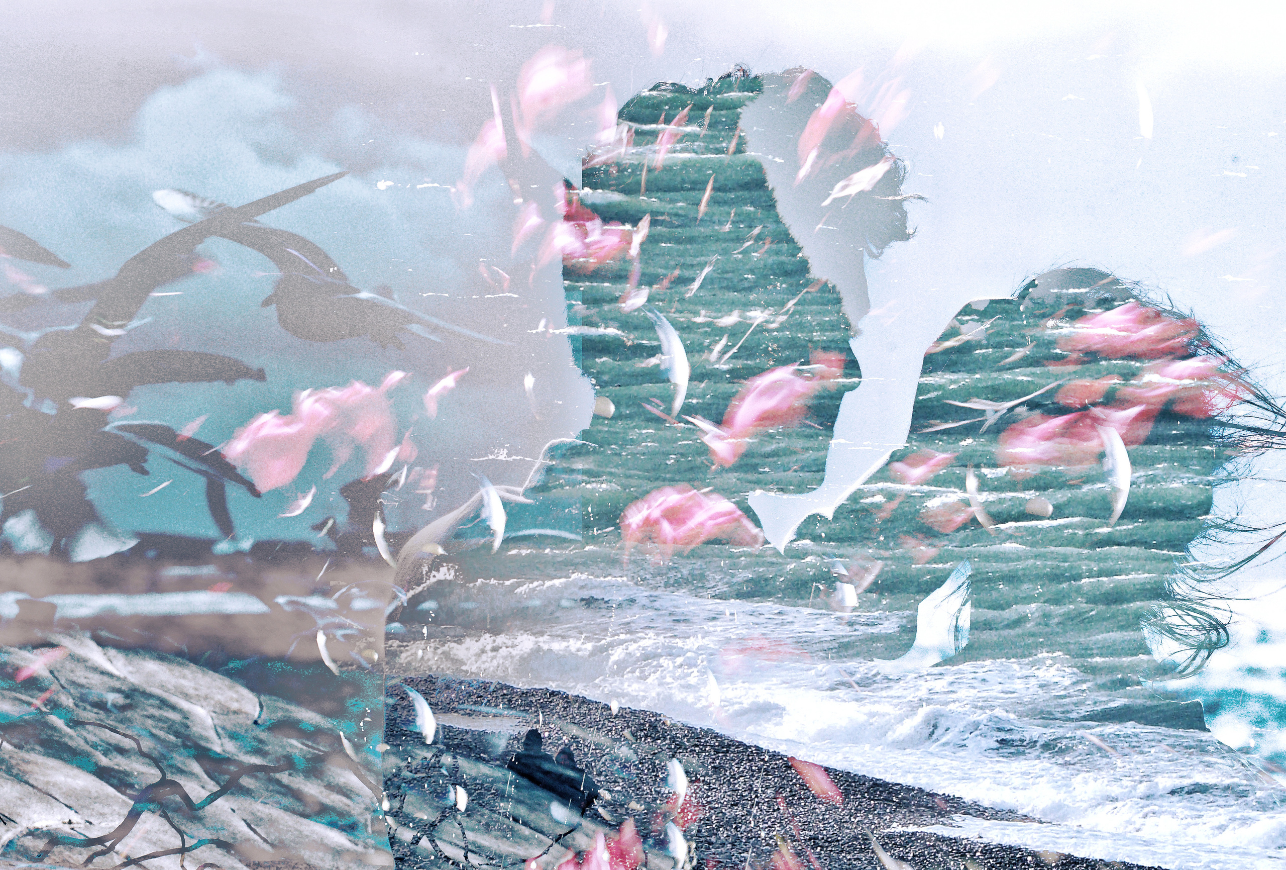 Art of now. See the moment and catche. commercial and reportage