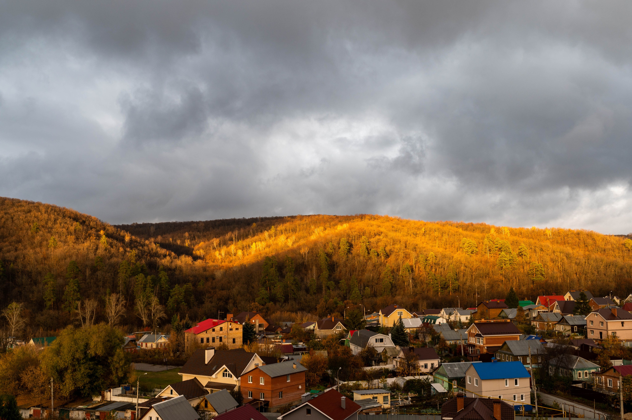 Через окно. Наталия Шульгина — визуальный художник, фотограф