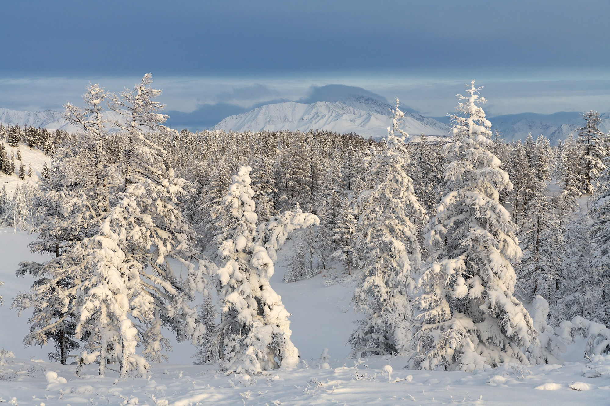 Программа зимней фотоэкспедиции в хребет Улахан-Чистай. Якутия
