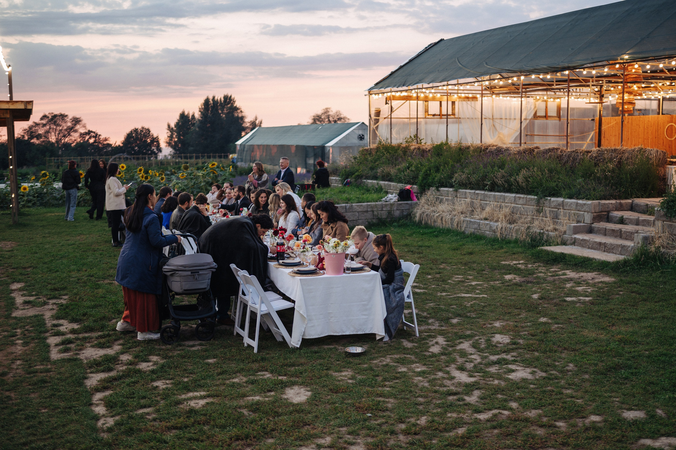 Эдуардо и Люси, свадебная фотосессия. Фотограф в Алматы — Алексей Коньков | Репортаж, свадьбы, портреты