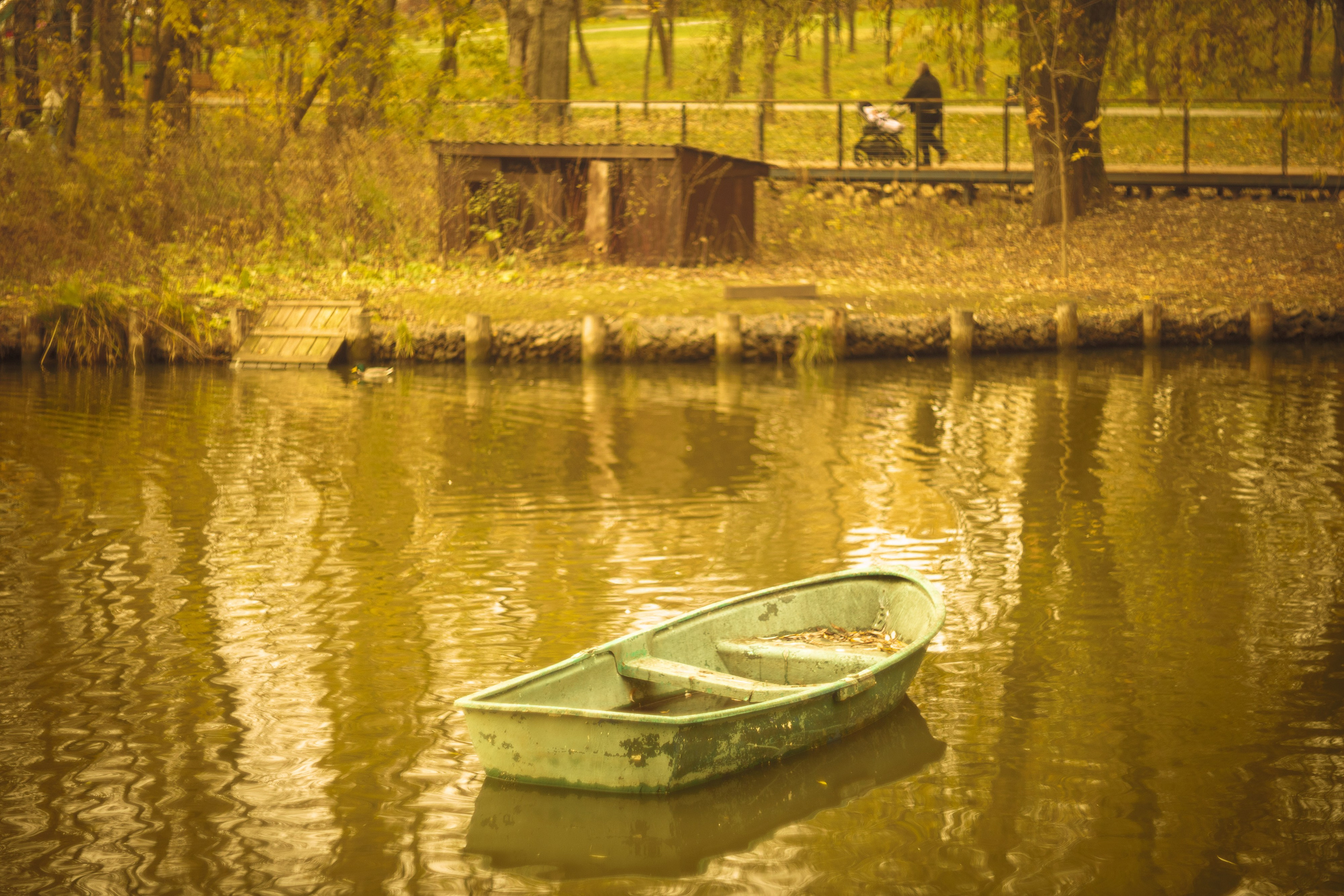 Серия «Цвет переосмыслений». Фотограф в Москве Татьяна Макотра