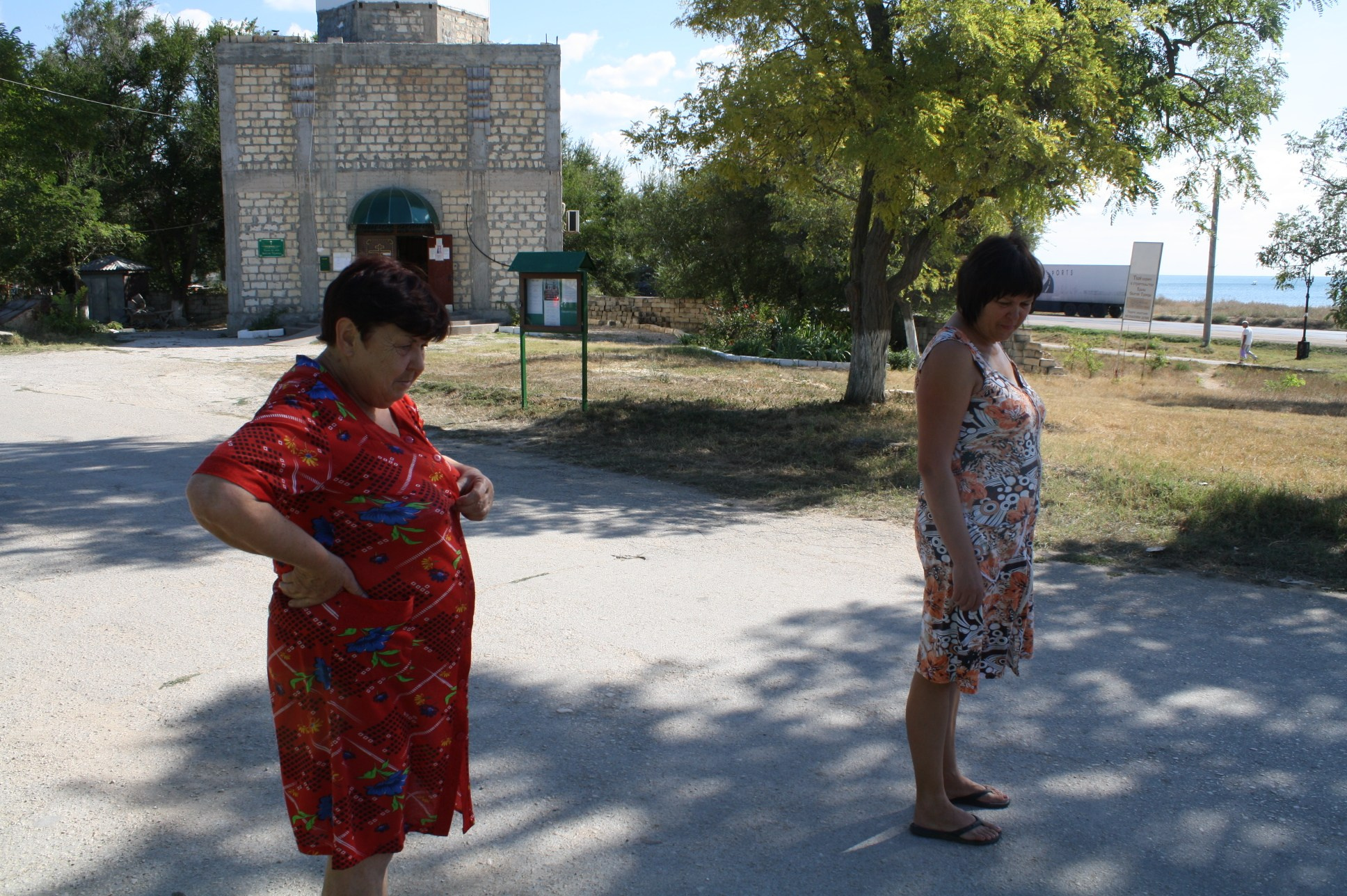 Dolzhanskaya Spit. Chinese Crested Dog Kennel Poale Ell